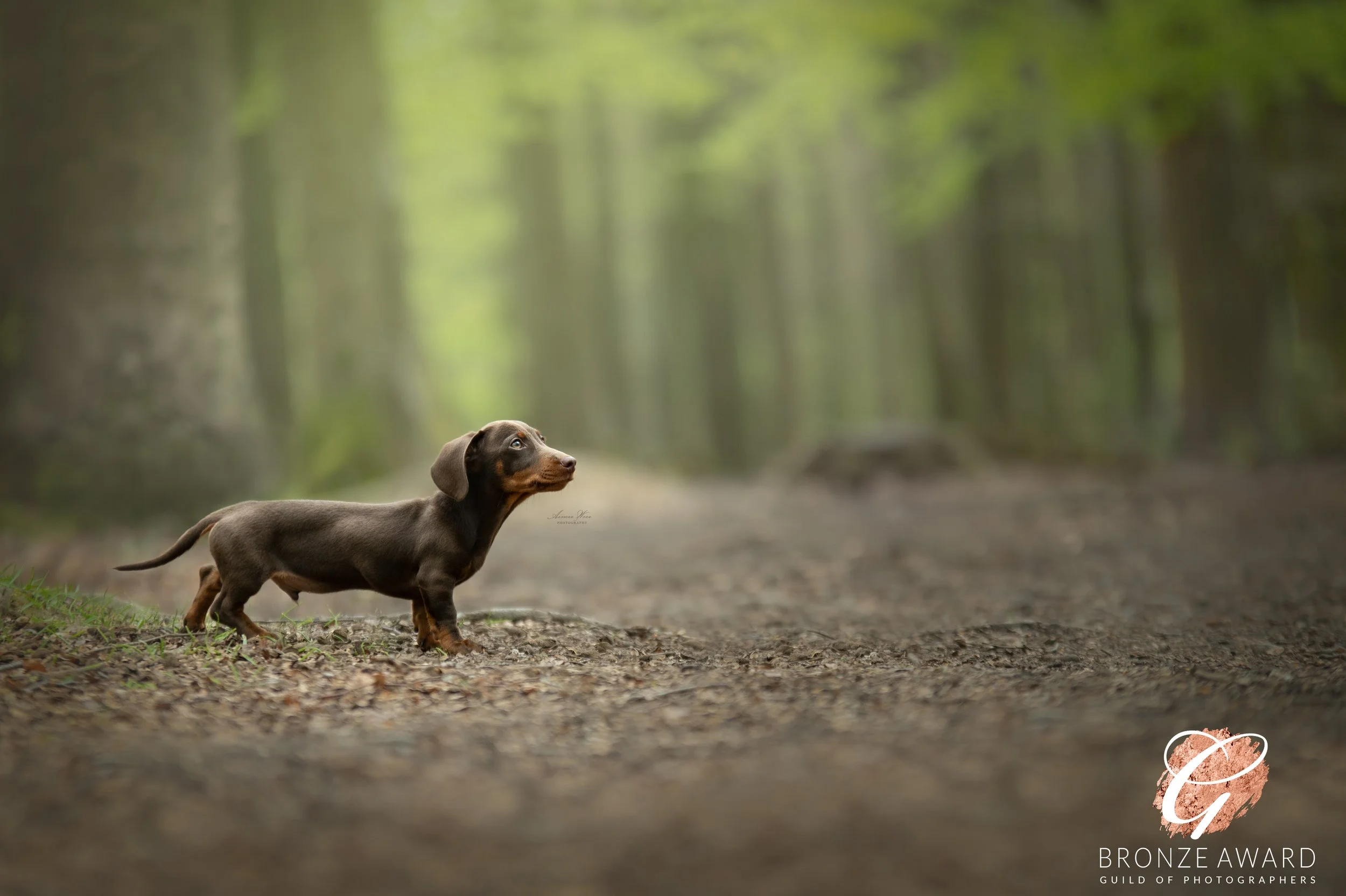 DSC_6853-Edit (1).jpg