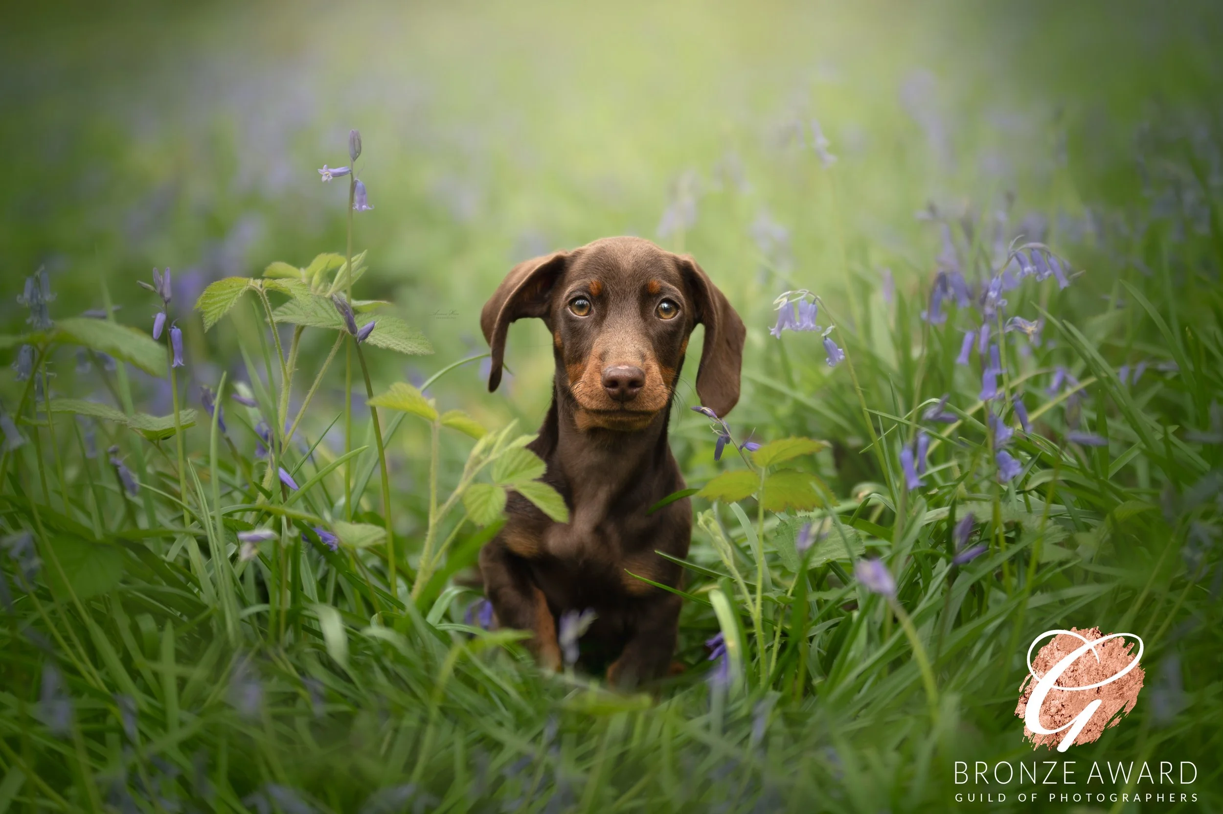 DSC_6683-Edit (1).jpg