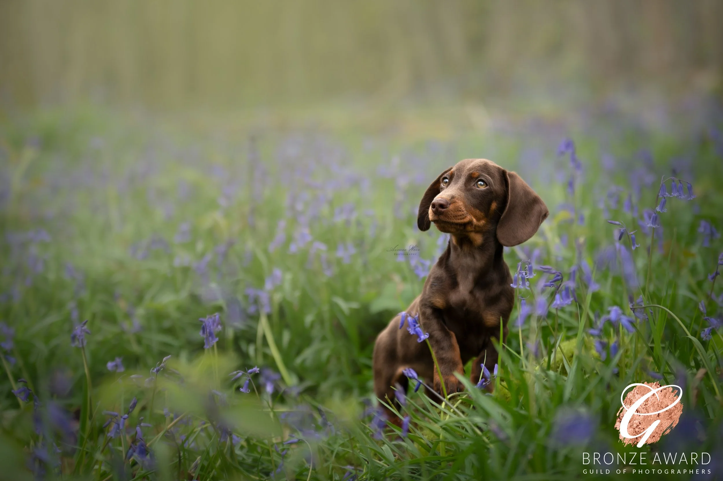 DSC_6707-Edit (1).jpg