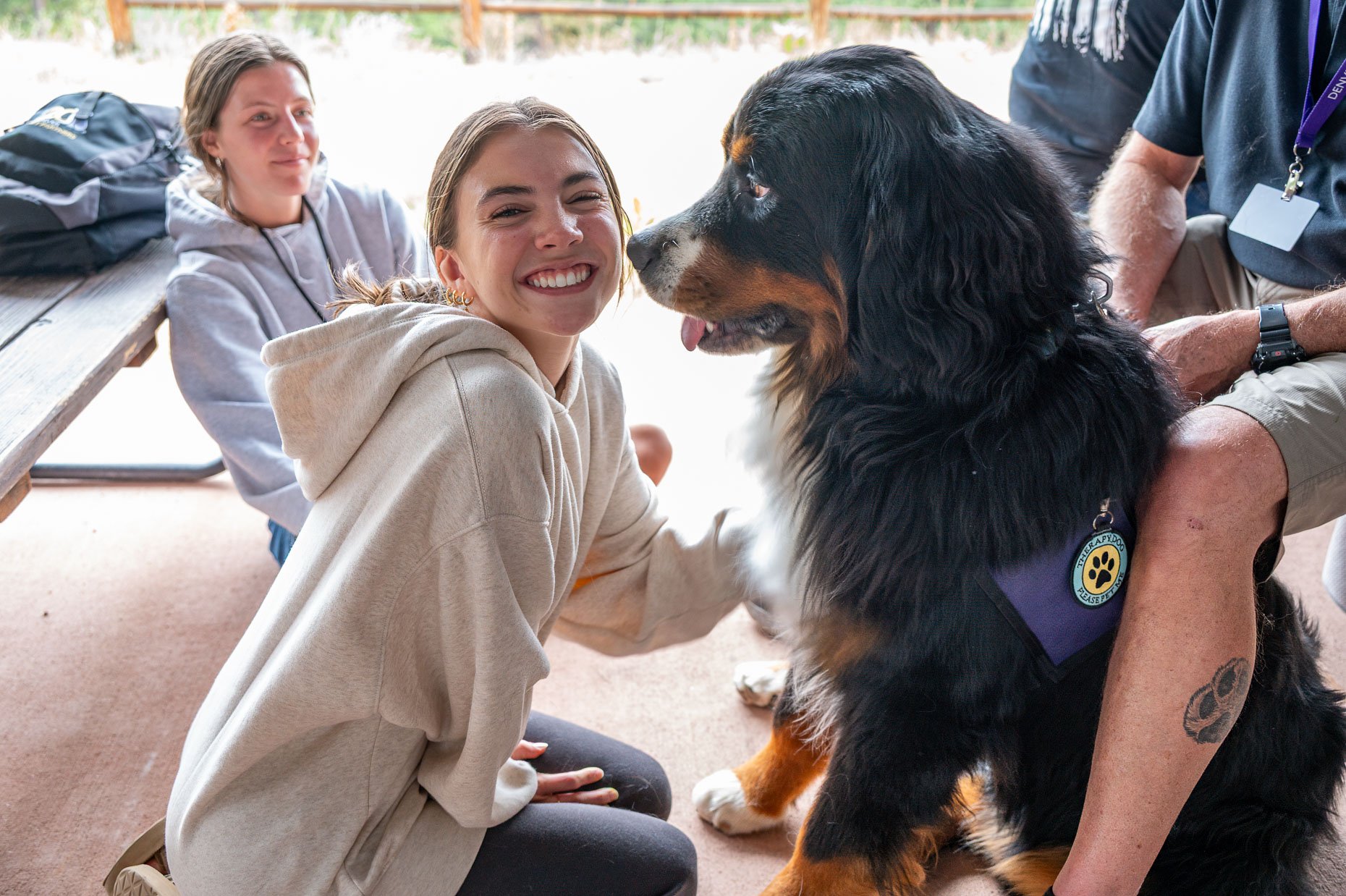 Teenager petting Dog at camp