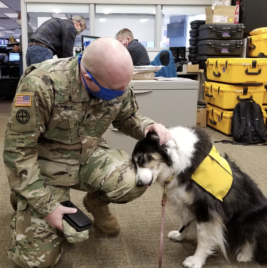 National Guard petting therapy dog during Covid