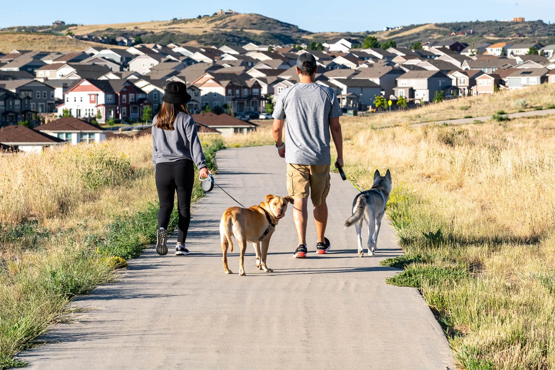 Couple walking their dogs on a path through a park