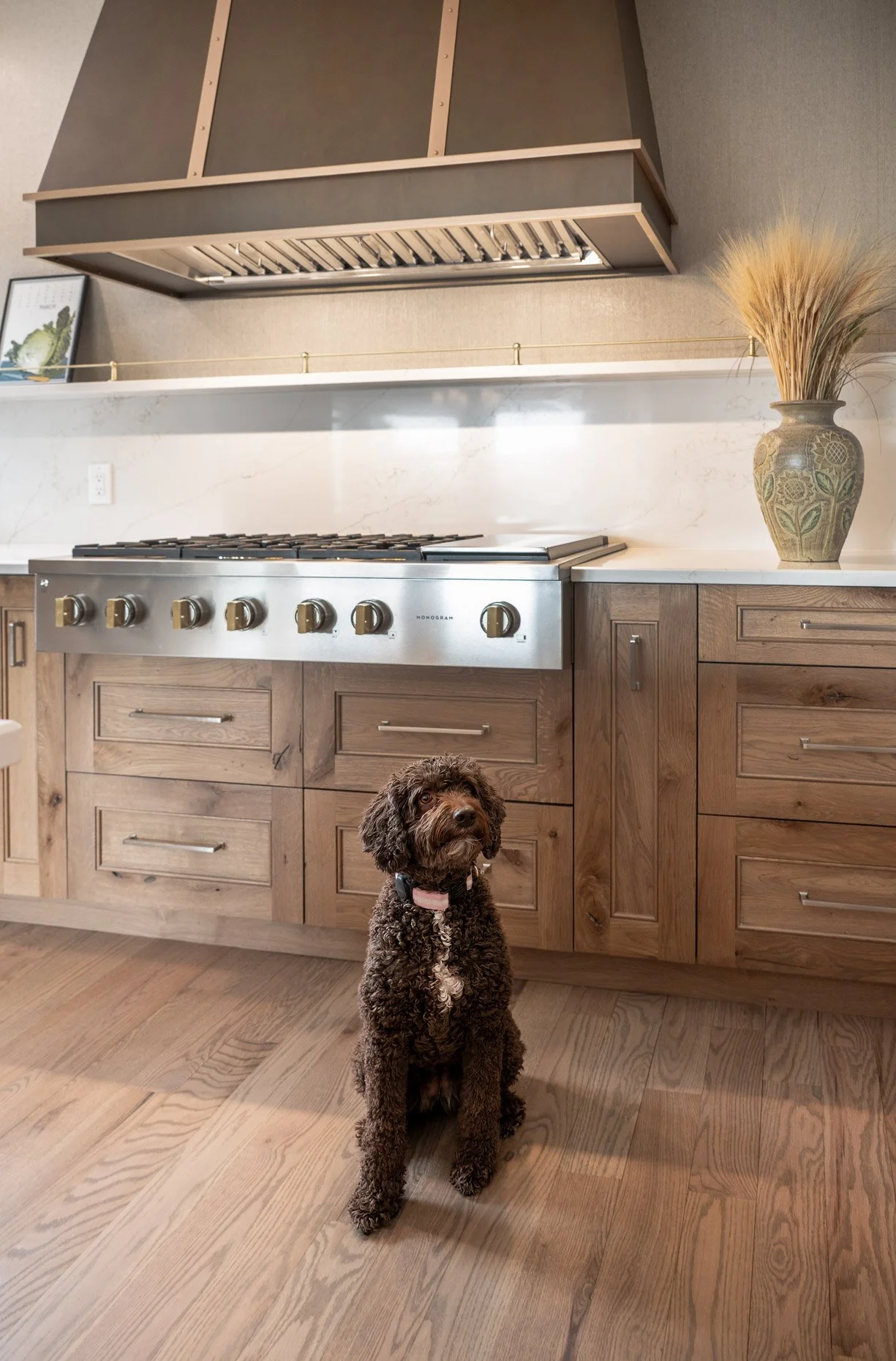 Soothing mountain kitchen with cute puppy