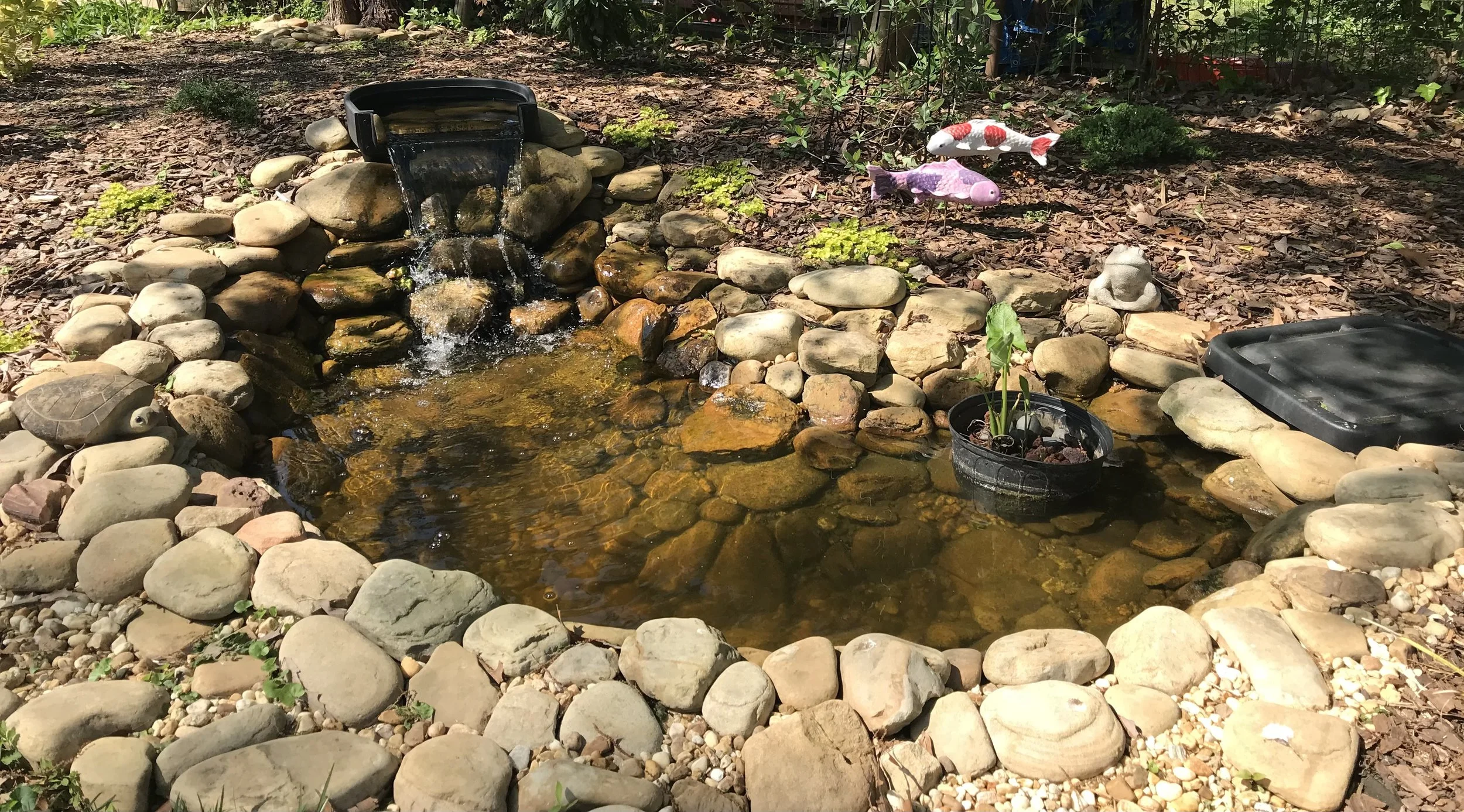Backyard koi pond with short waterfall