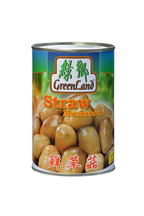 Straw Mushroom 草菇