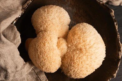 Liang Yi Monkey Head Mushroom 原味猴头菇
