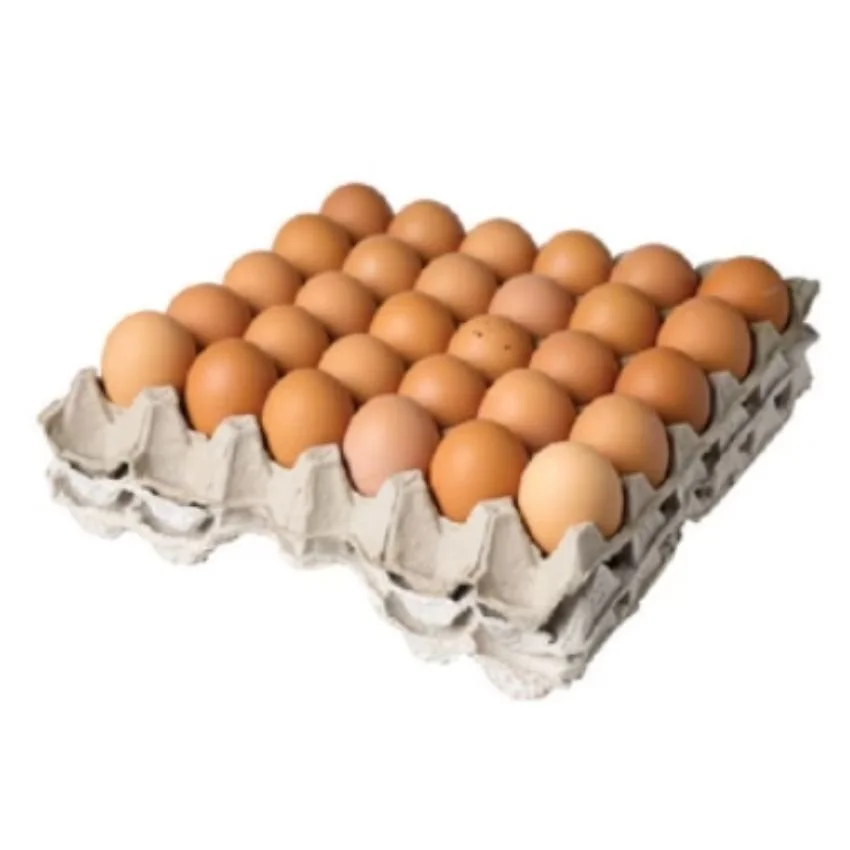 Fresh Eggs B Grade 鸡蛋 (30 pcs)
