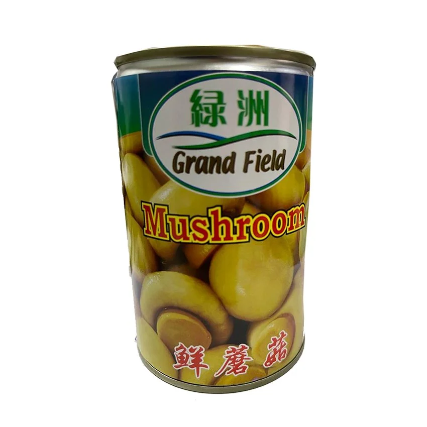 Button Mushroom 罐头蘑菇