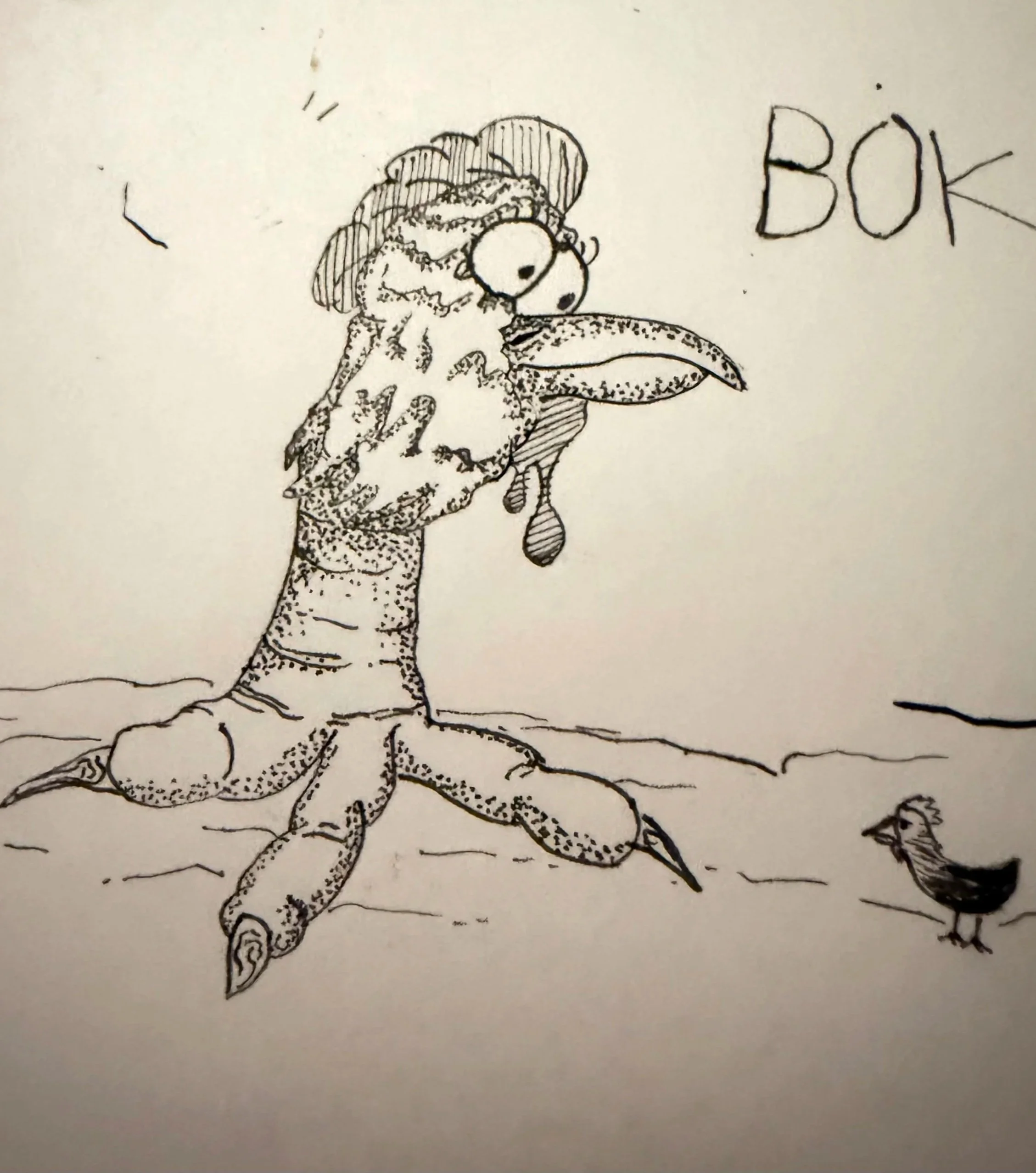 BOKdrawing.jpg