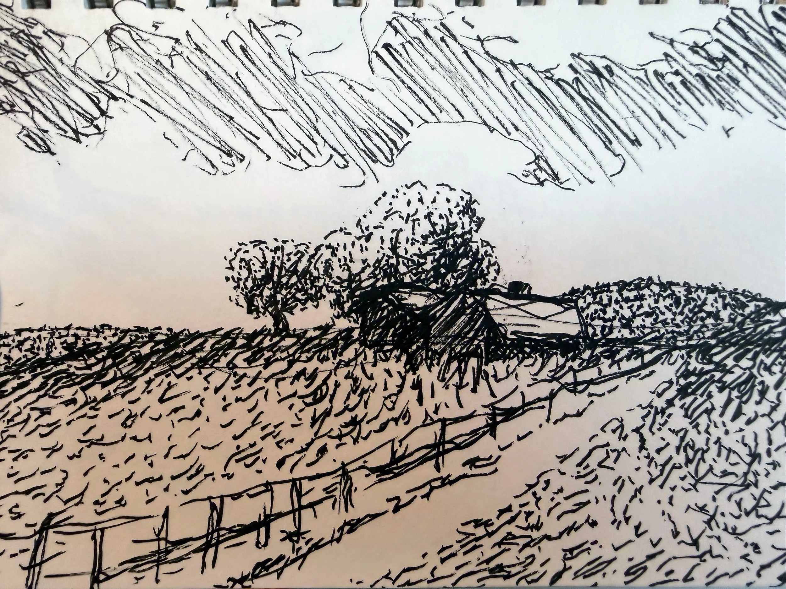 countryside.jpg