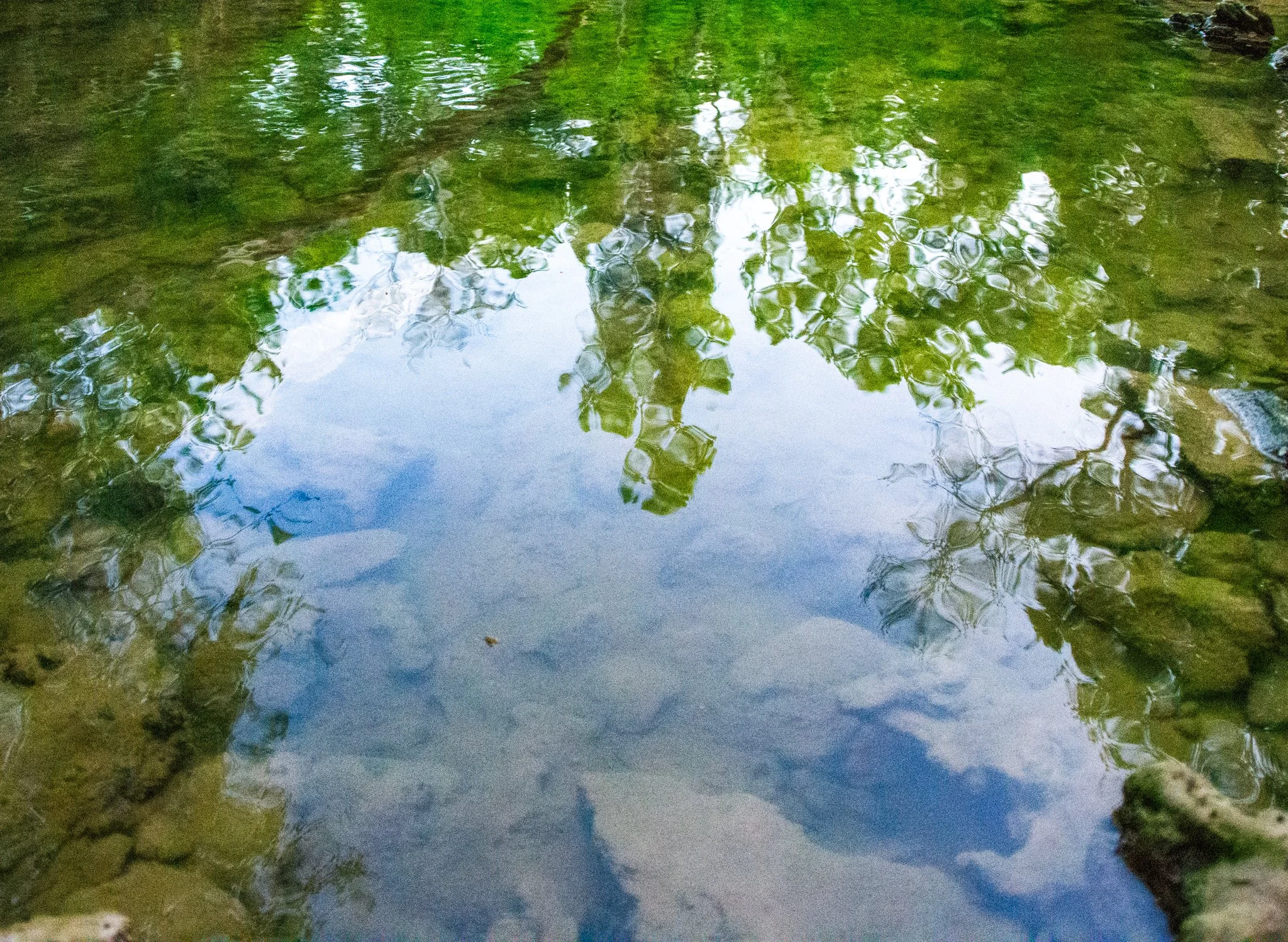 DSC_2591.jpg
