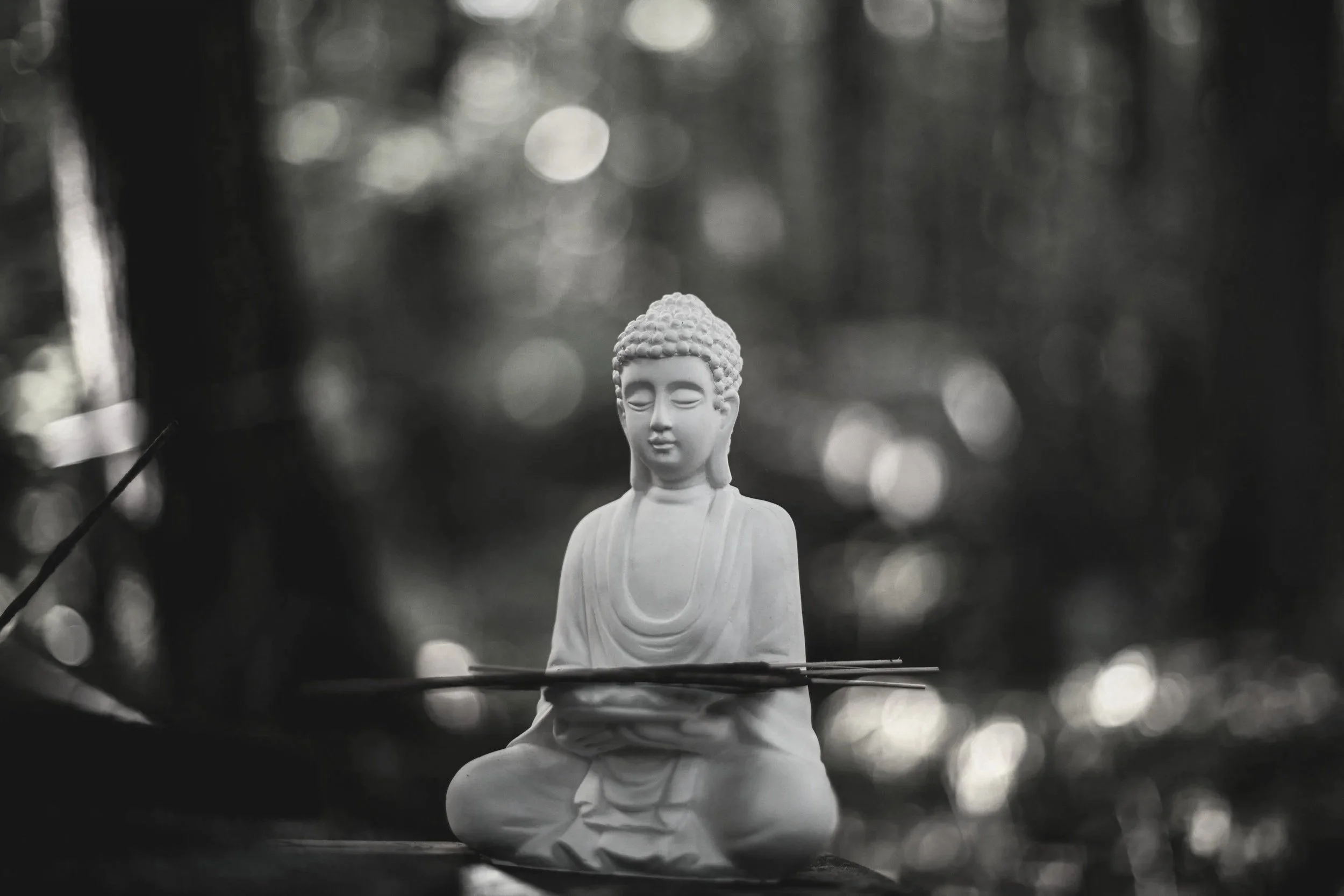Une statue de Bouddha en position de méditation, en pierre ou en céramique, au milieu d'une nature forestière floue, en noir et blanc.