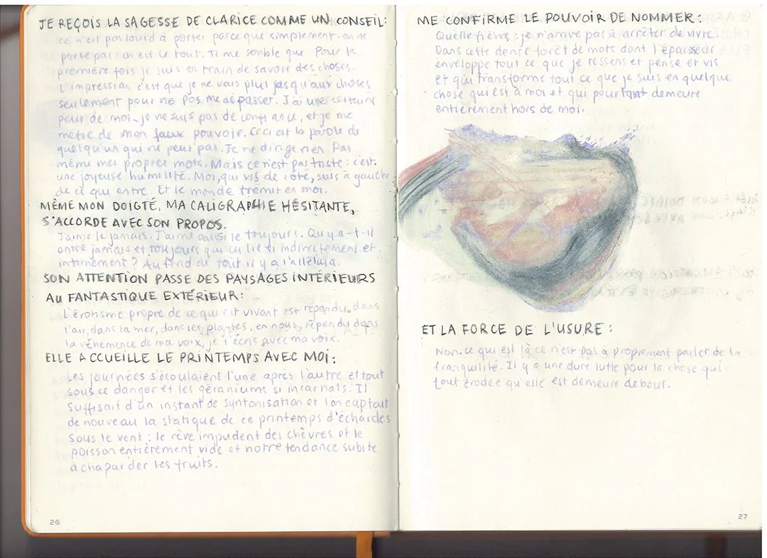 Carnet écrit et illustré - dialogue avec Clarice Lispector.jpg