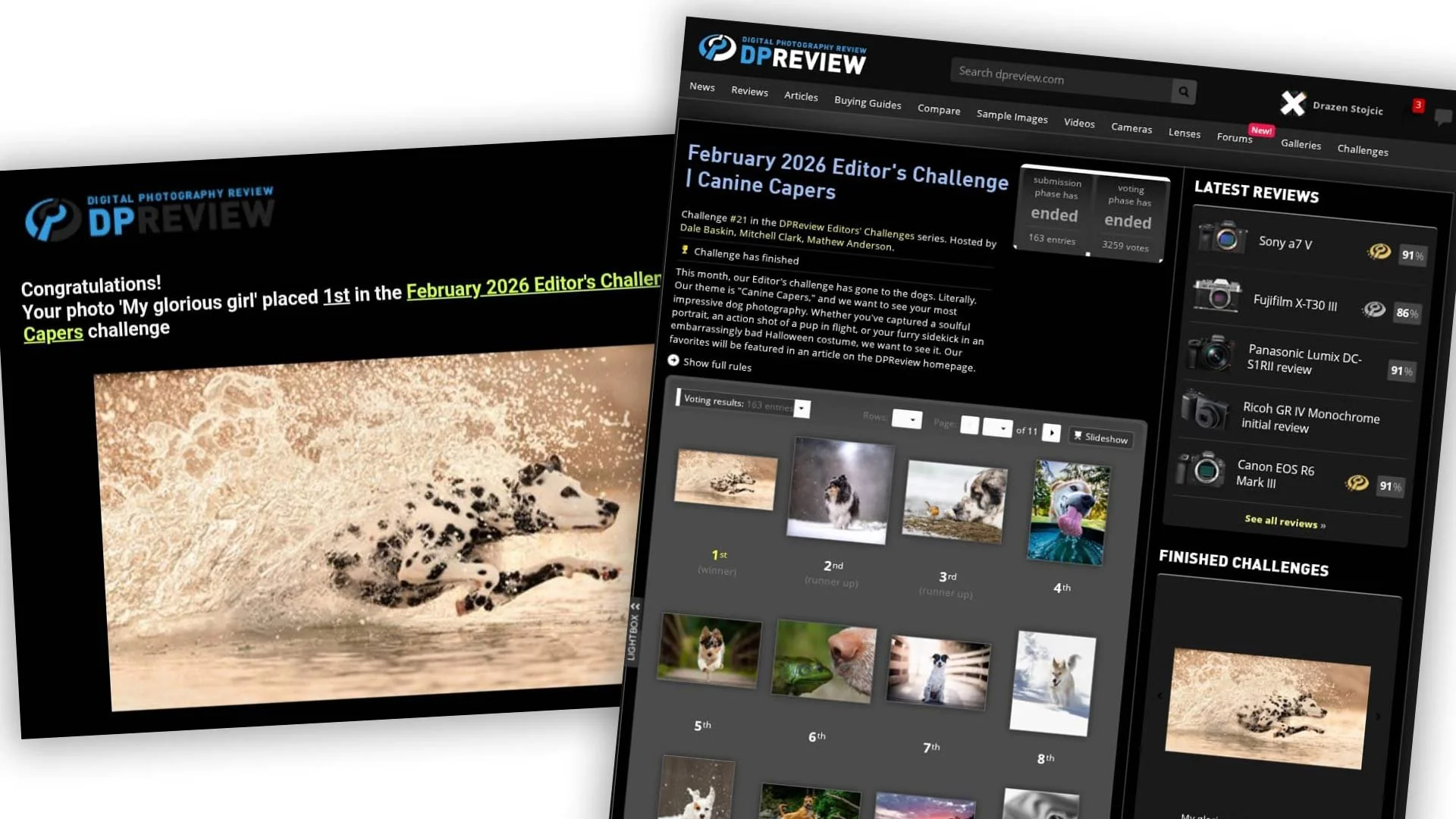 DPreview photo contest win