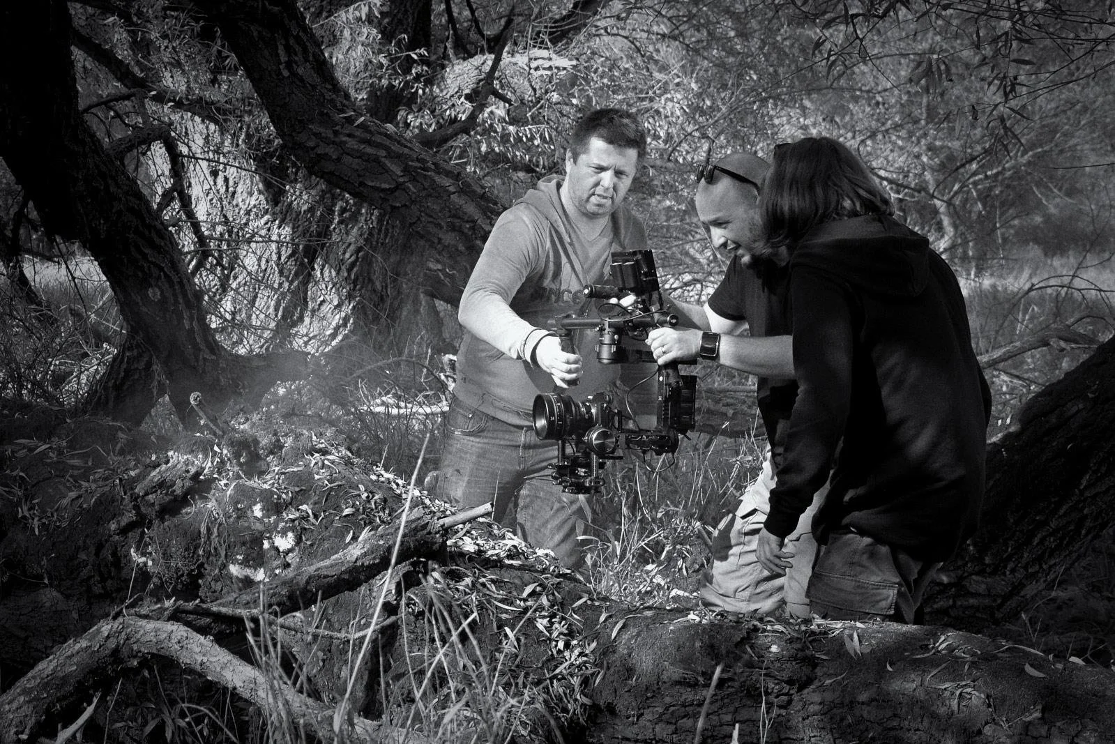 Three people working together outdoors with a camera mounted on a stabilizer, amidst fallen branches and trees.