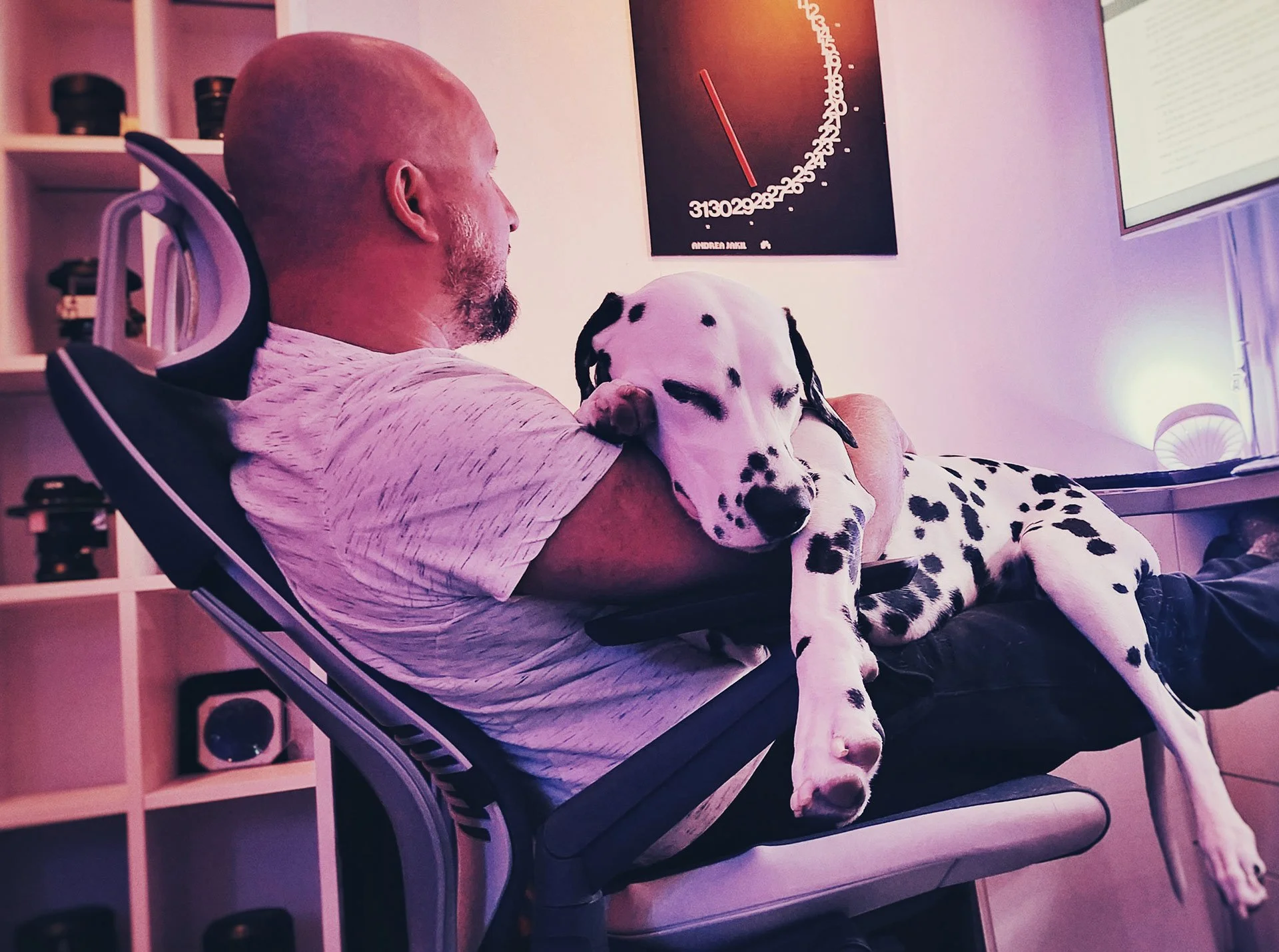 A man sitting in a chair with a Dalmatian dog resting on his lap; the man has a beard and bald head, and the dog has black spots and is looking content.