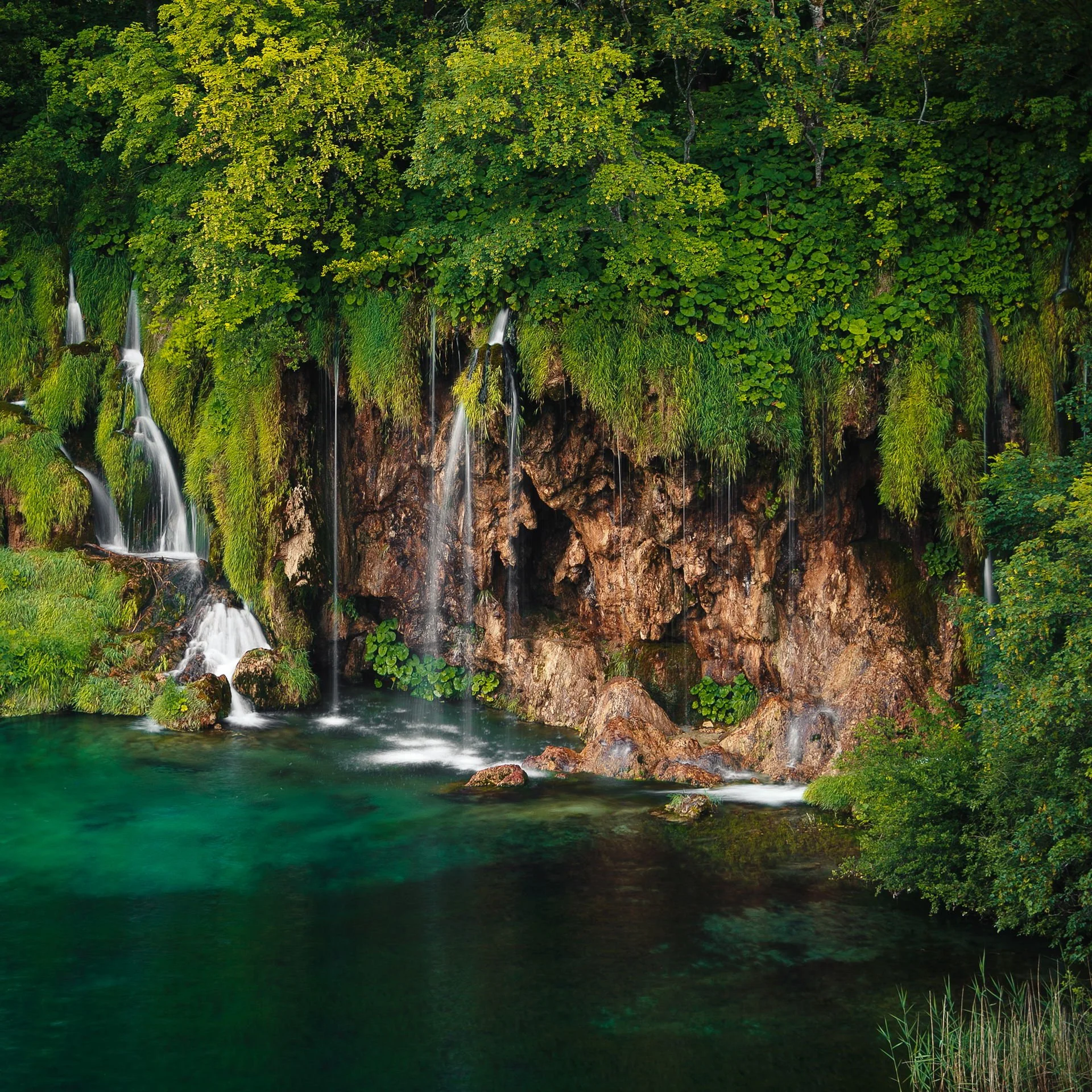 Plitvice lakes, Plitvicka jezera, Small waterfall cascading over mossy rocks into a turquoise pond, surrounded by lush green foliage.