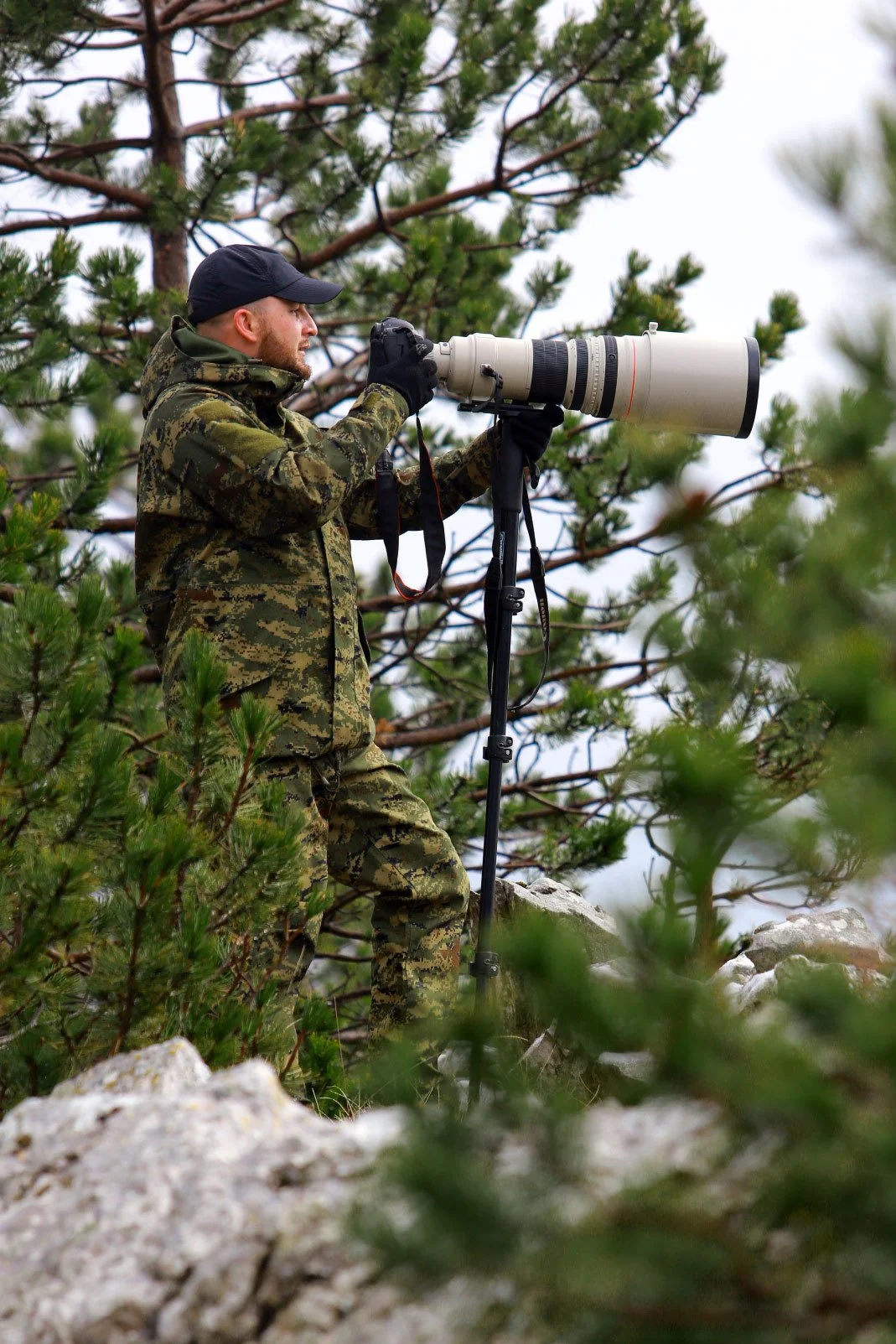 Dražen Stojčić, photographer from Osijek, Croatia. A man in camouflage military attire and black cap using a telephoto lens on a monopod, surrounded by pine trees in a rocky outdoor environment.