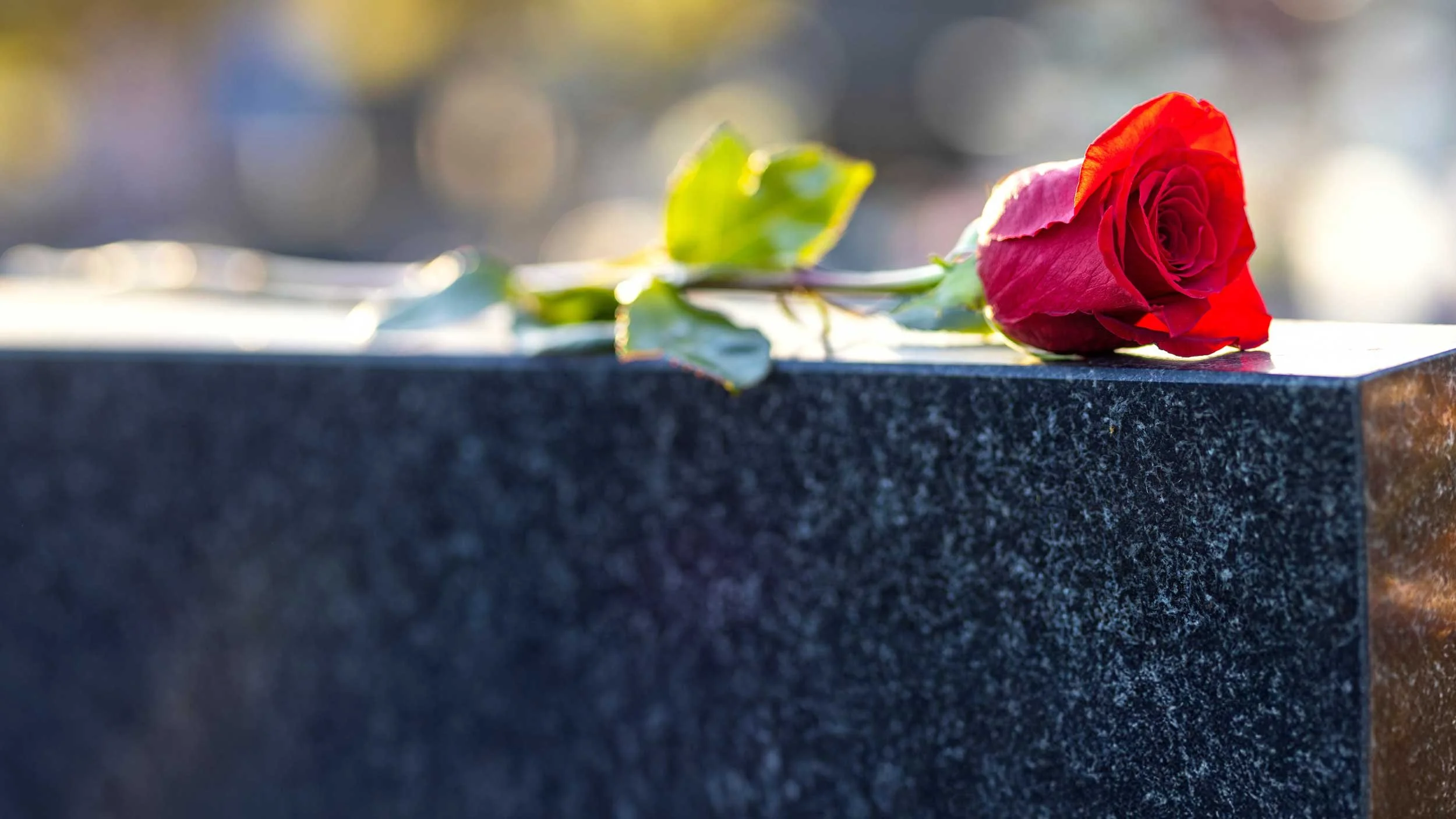 Punainen ruusu tumman hautakiven päällä,  aurinko paistaa taustalla.