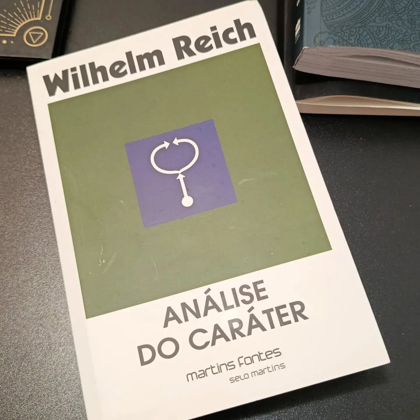 Agora sim.....
.
.
Pra quem gosta muito de estudar, isso &eacute; um parque de divers&otilde;es.
.
.
#reich
#psicsn&aacute;lise