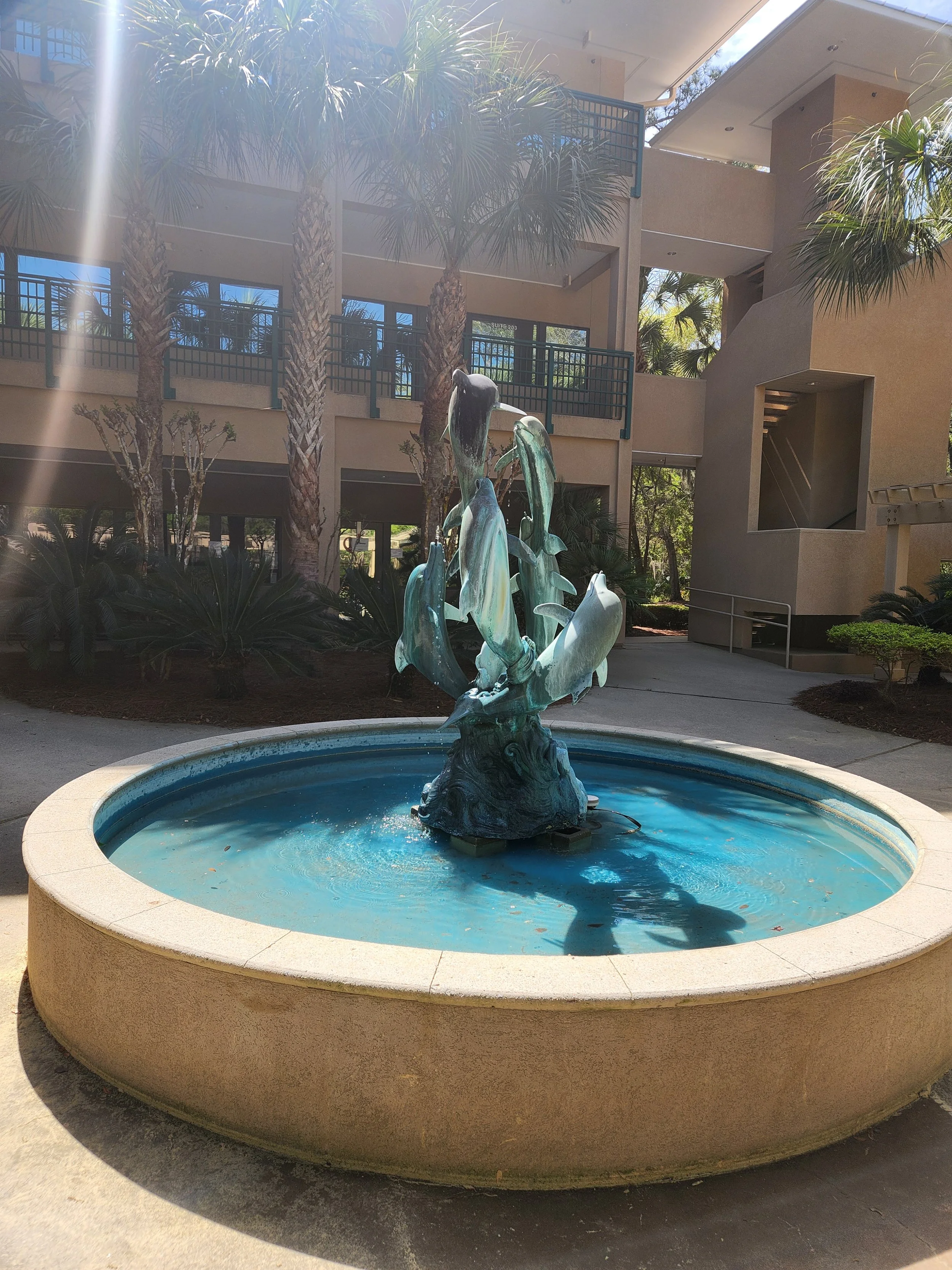 Bronze dolphin sculpture fountain in a circular water basin, set outdoors with palm trees and modern building in the background.