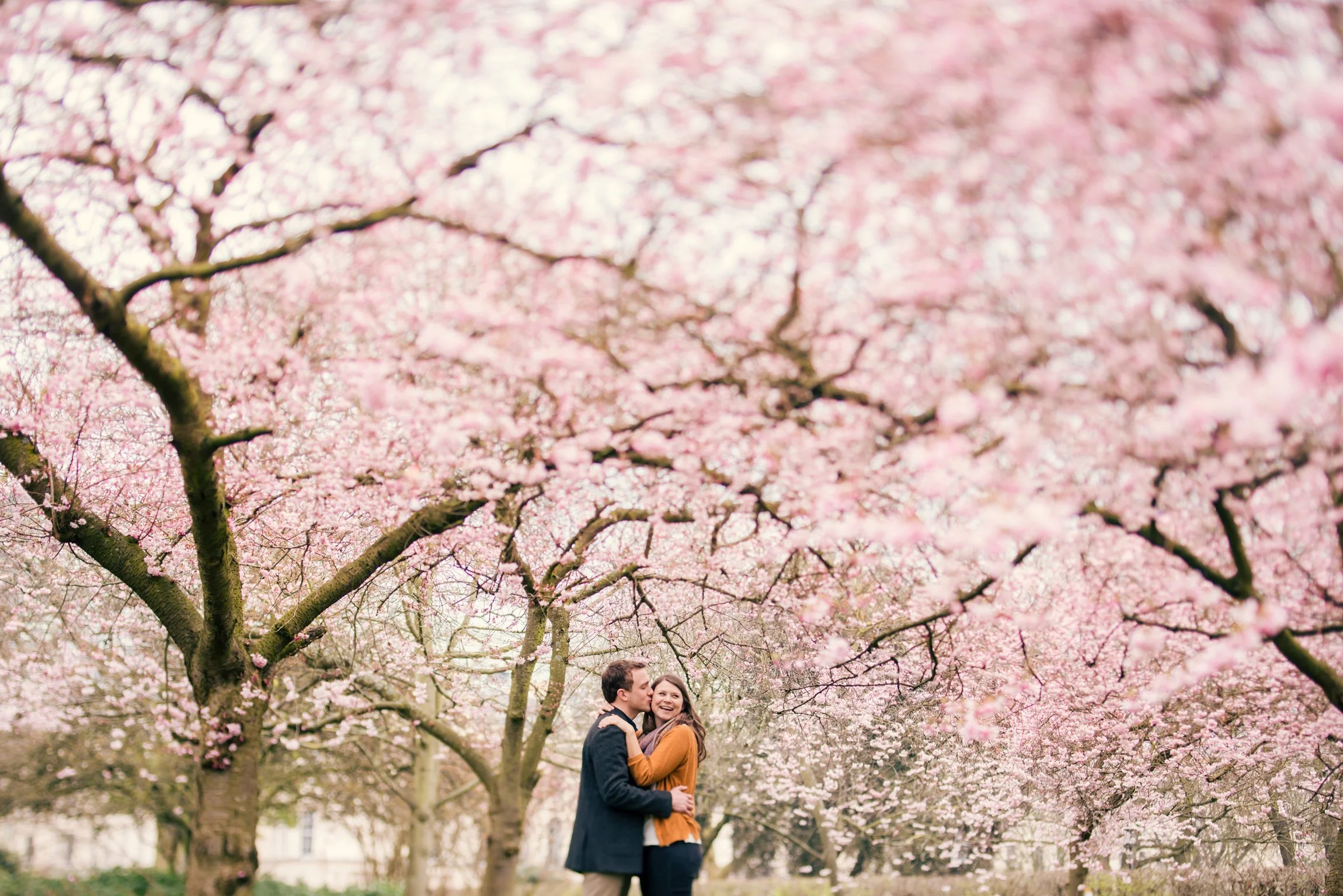 YLM website gallery 06.jpg