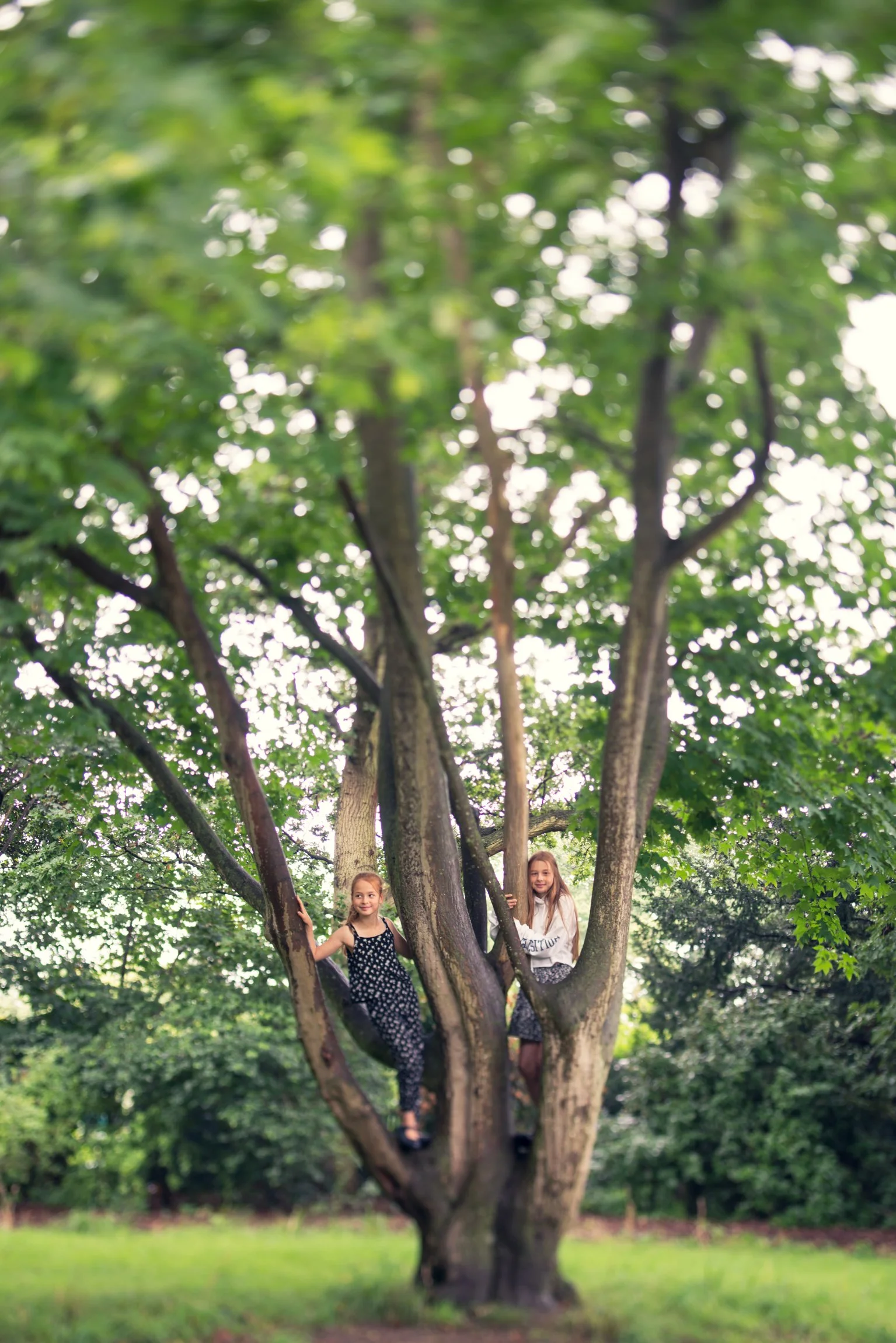 YLM website gallery 33.jpg