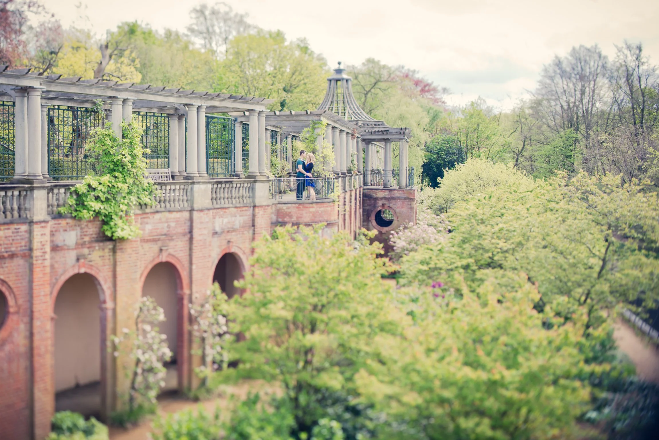 YLM website gallery 37.jpg