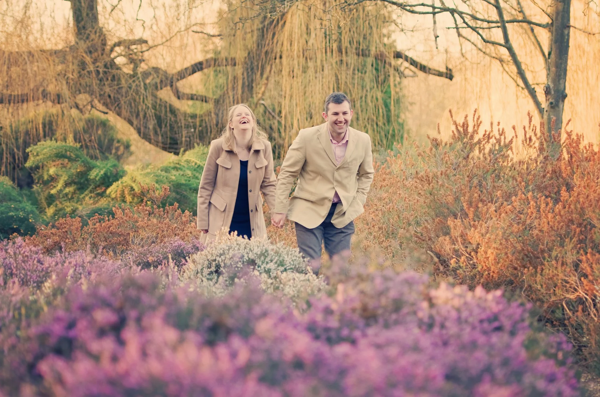 YLM website home 04.jpg