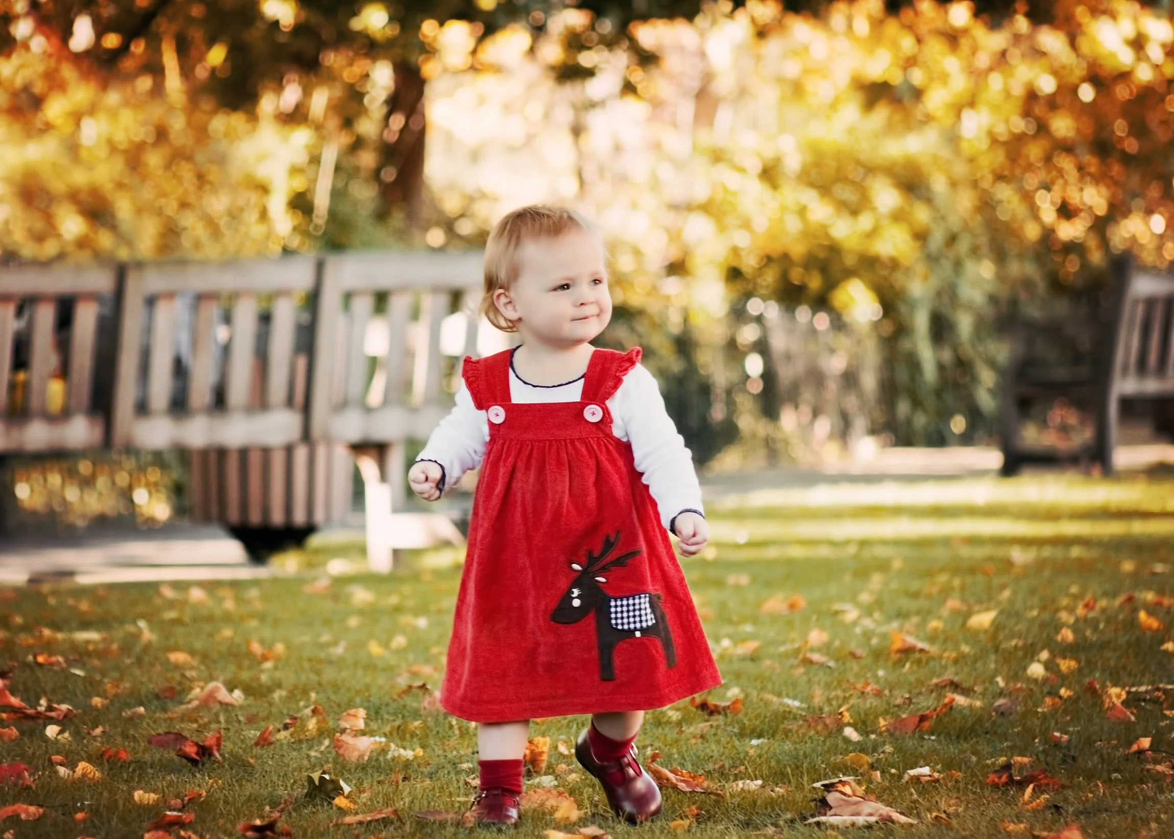 YLM website gallery 03.jpg