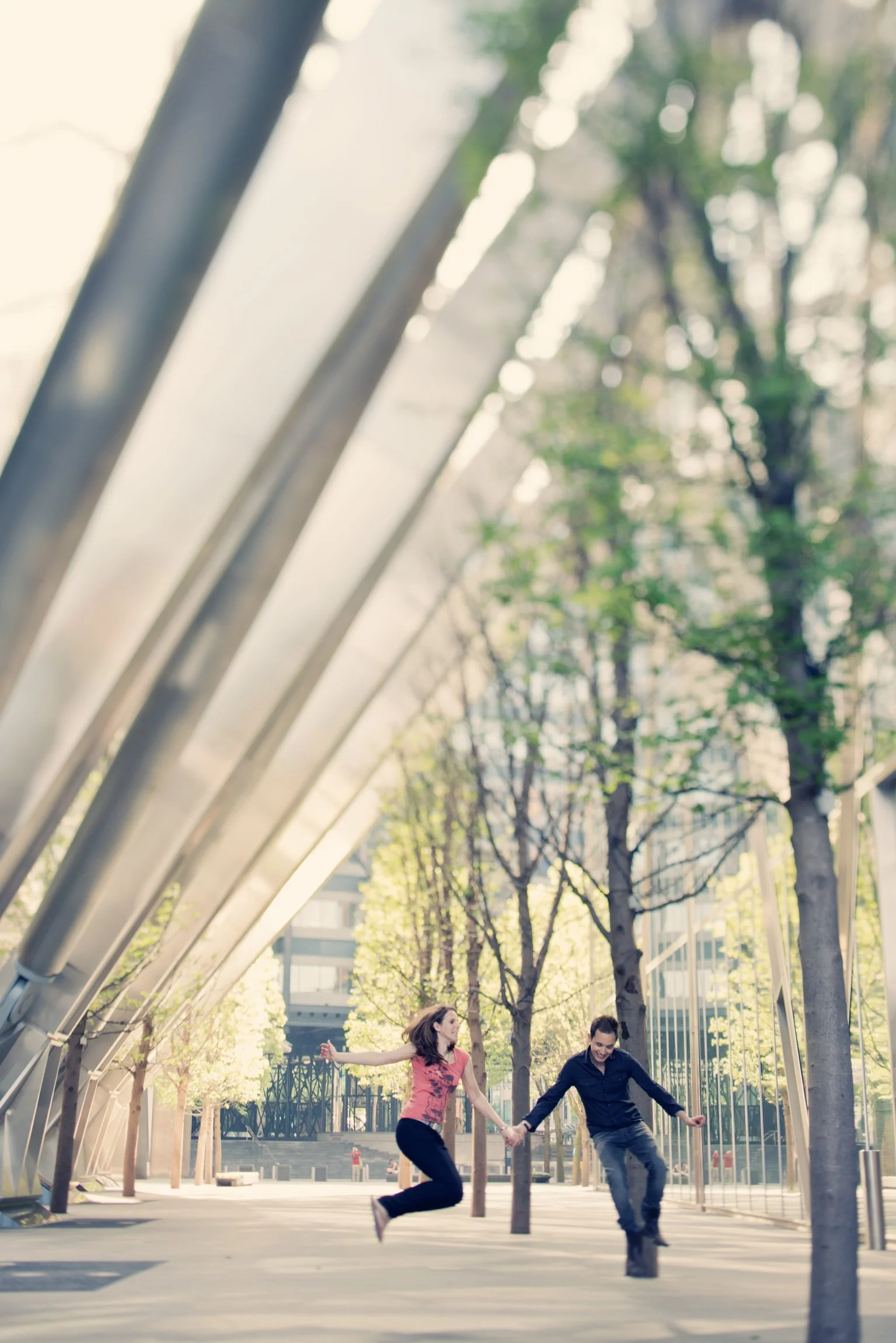 YLM website gallery 06b.jpg