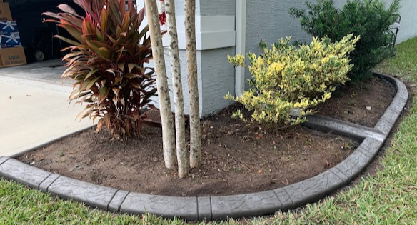 Double Lines and Texture