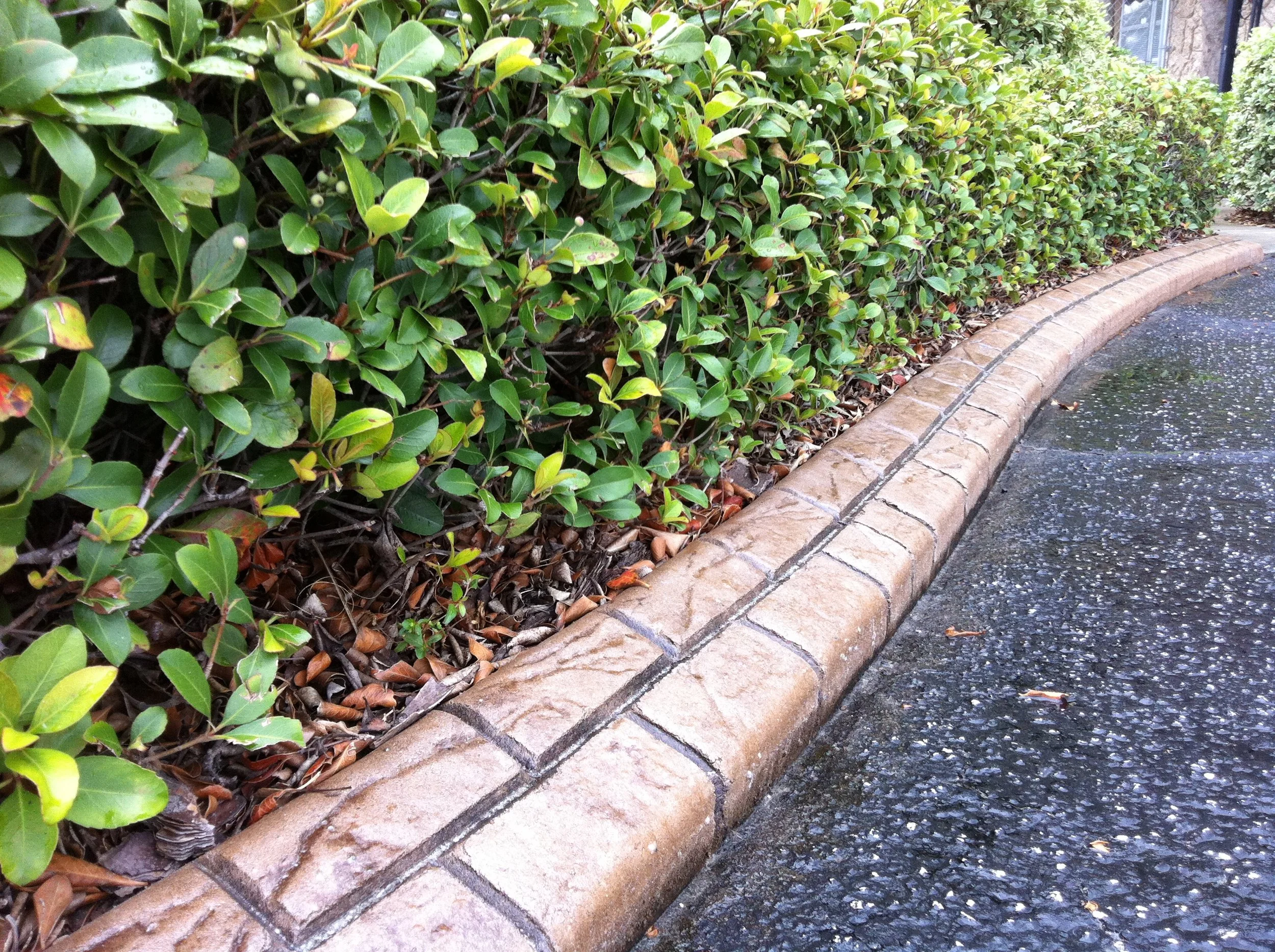 Sahara Sand - Charcoal Gray