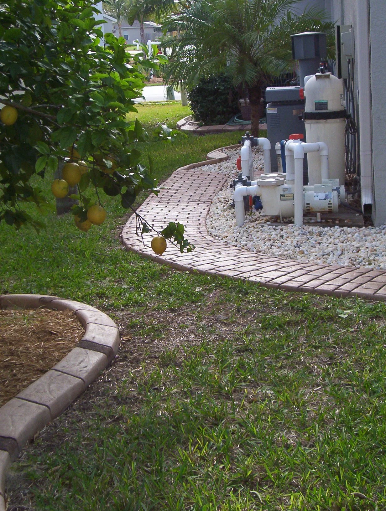 Prairie Stone - Walnut Brown