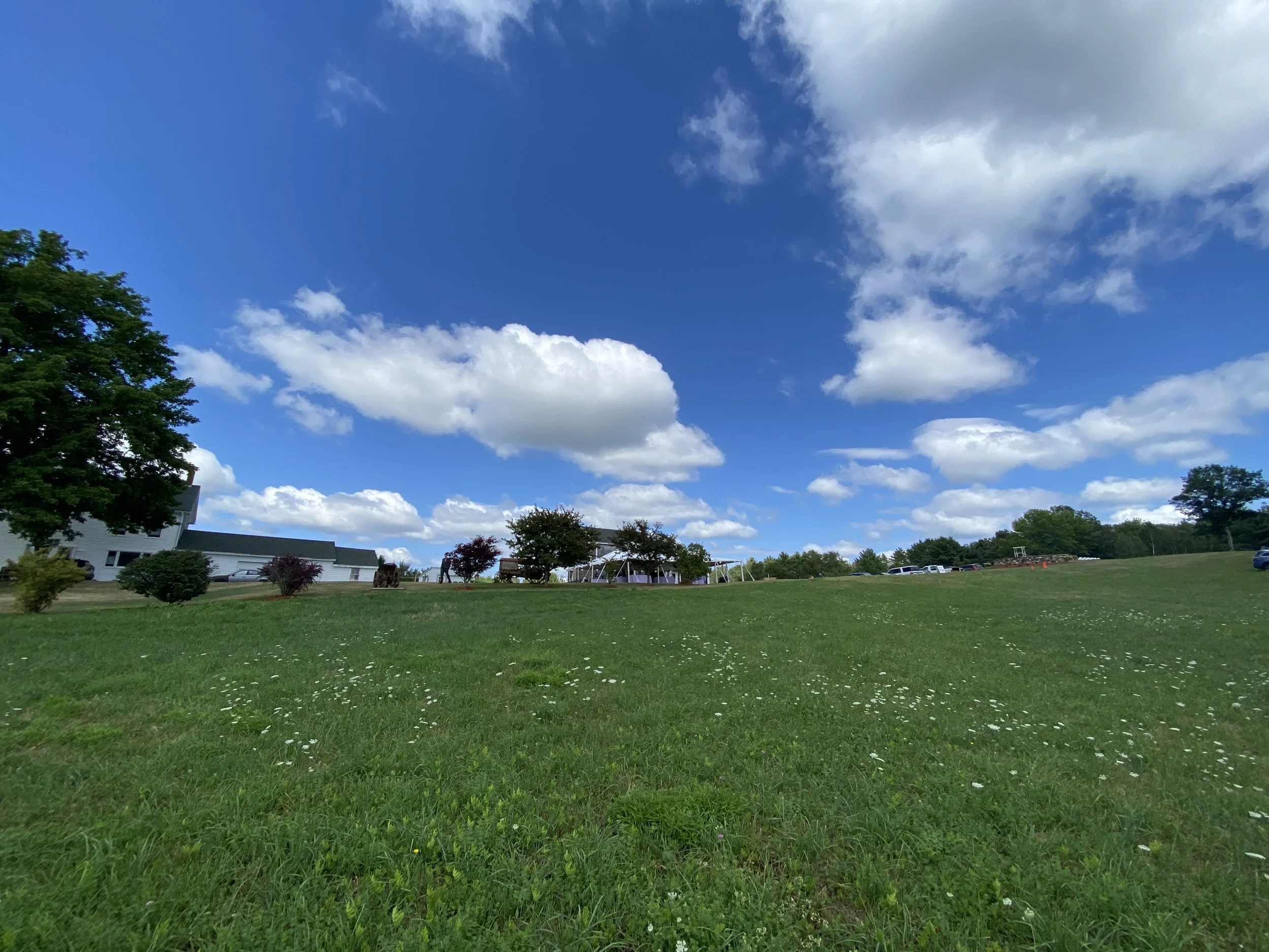 A wide, grassy field with a few small bushes and trees, a house on the left side, a playground in the distance, and parked cars along the horizon, under a bright blue sky with scattered white clouds.