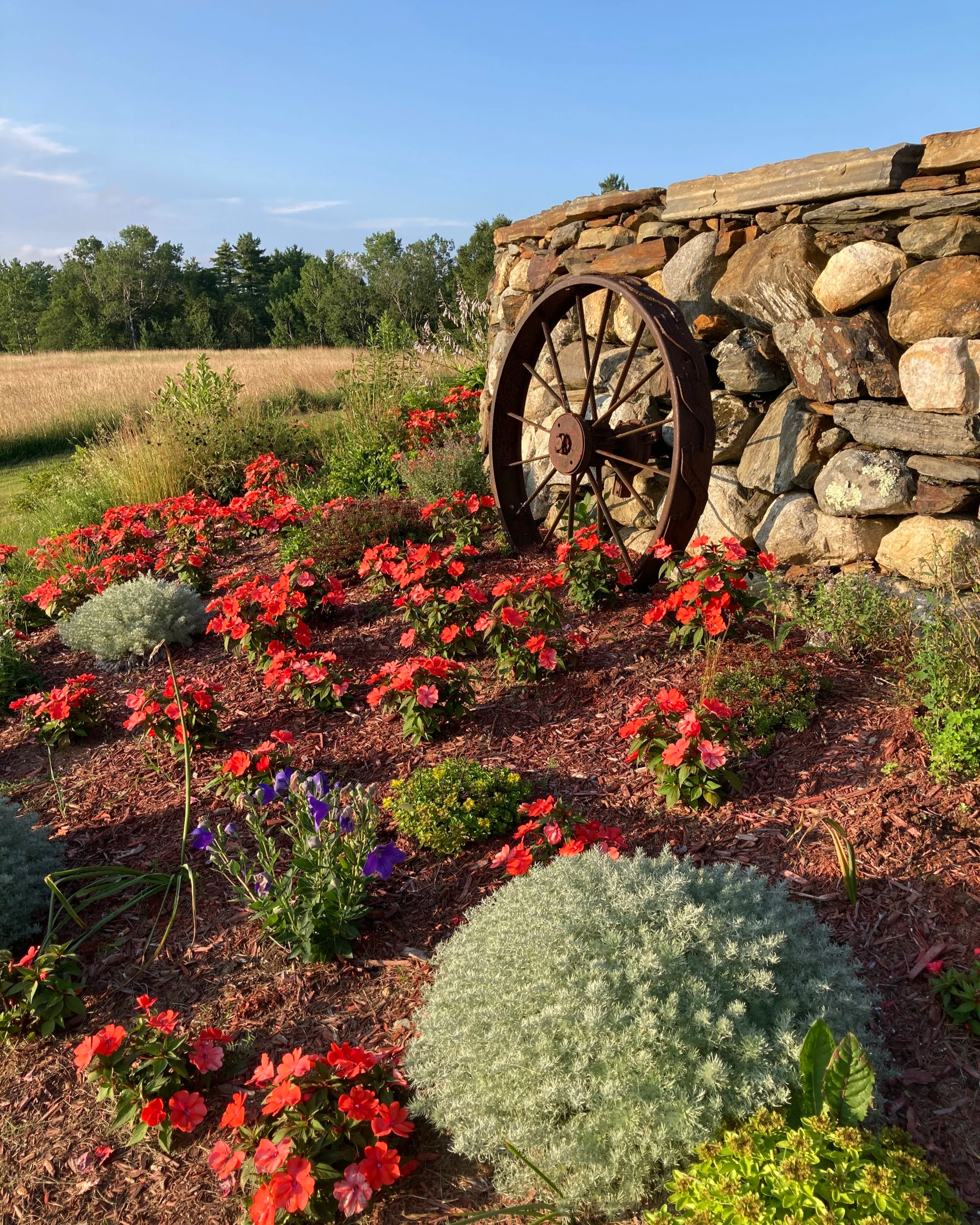 Flower bed with red and purple flowers in front of a stone wall with an old wagon wheel leaning against it, in a rural field setting.