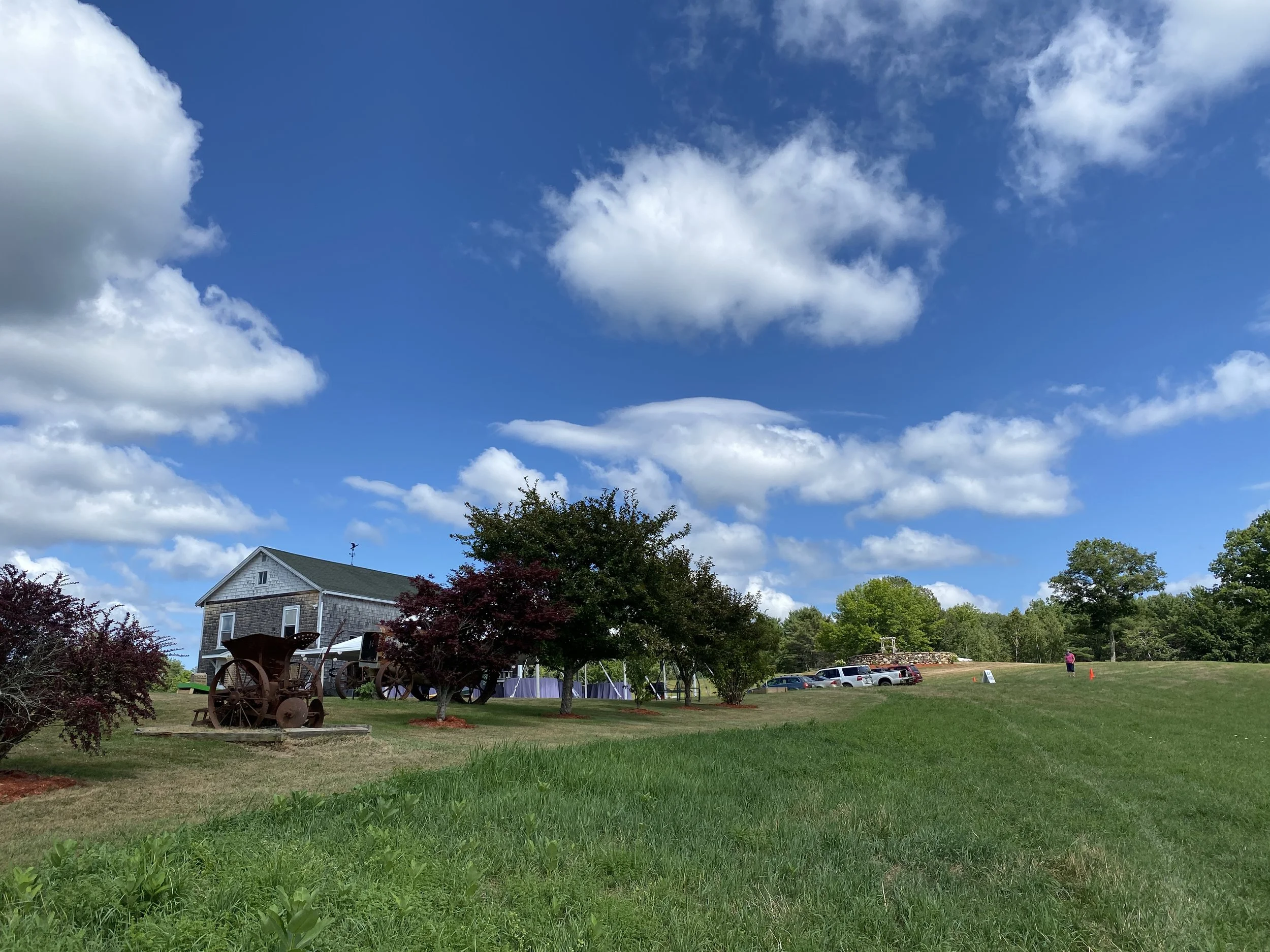 A rural scene with a grassy field, several trees, a vintage wagon, a house, parked cars, and a person standing near an orange cone under a partly cloudy sky.