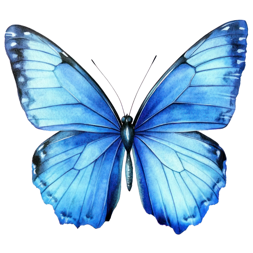 Transformational Hypnosis