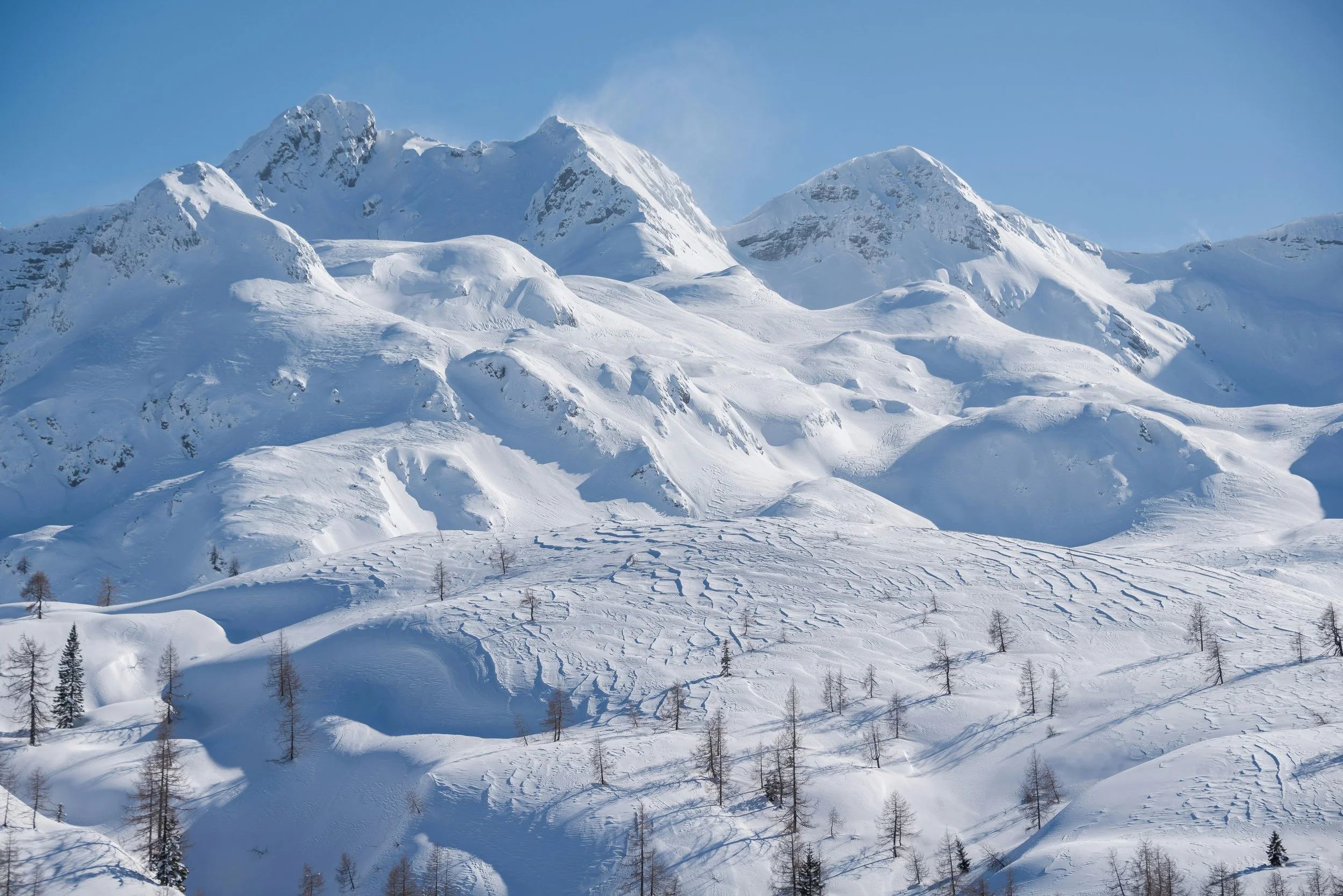 Snow-covered mountain range with clear blue sky and sparse trees in the foreground.