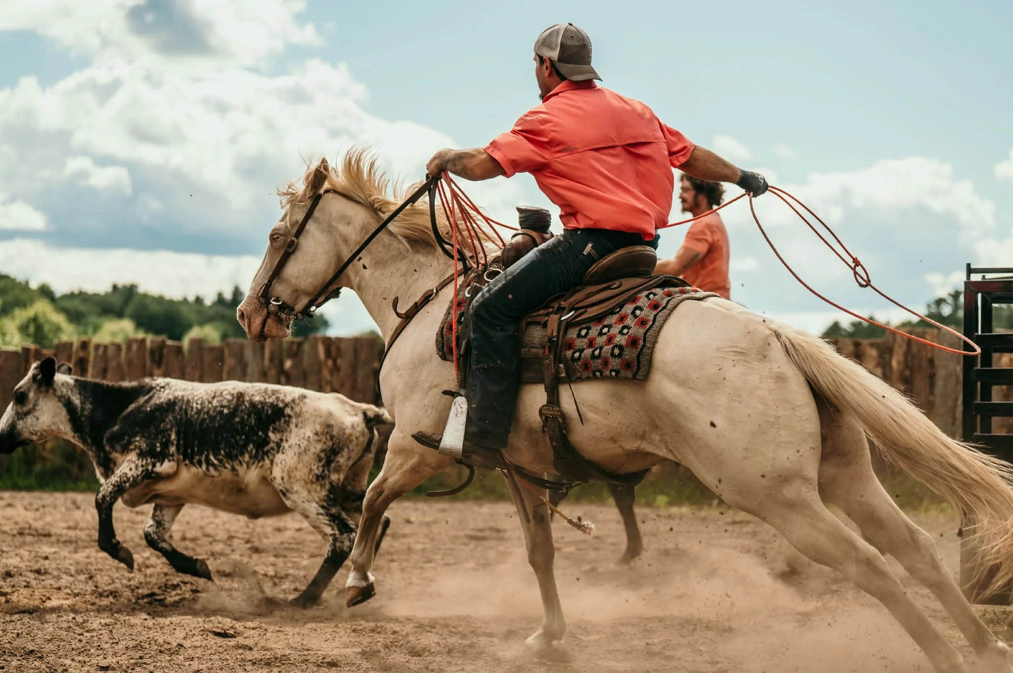 Two cowboys riding horses herding cattle in an outdoor arena on a cloudy day.
