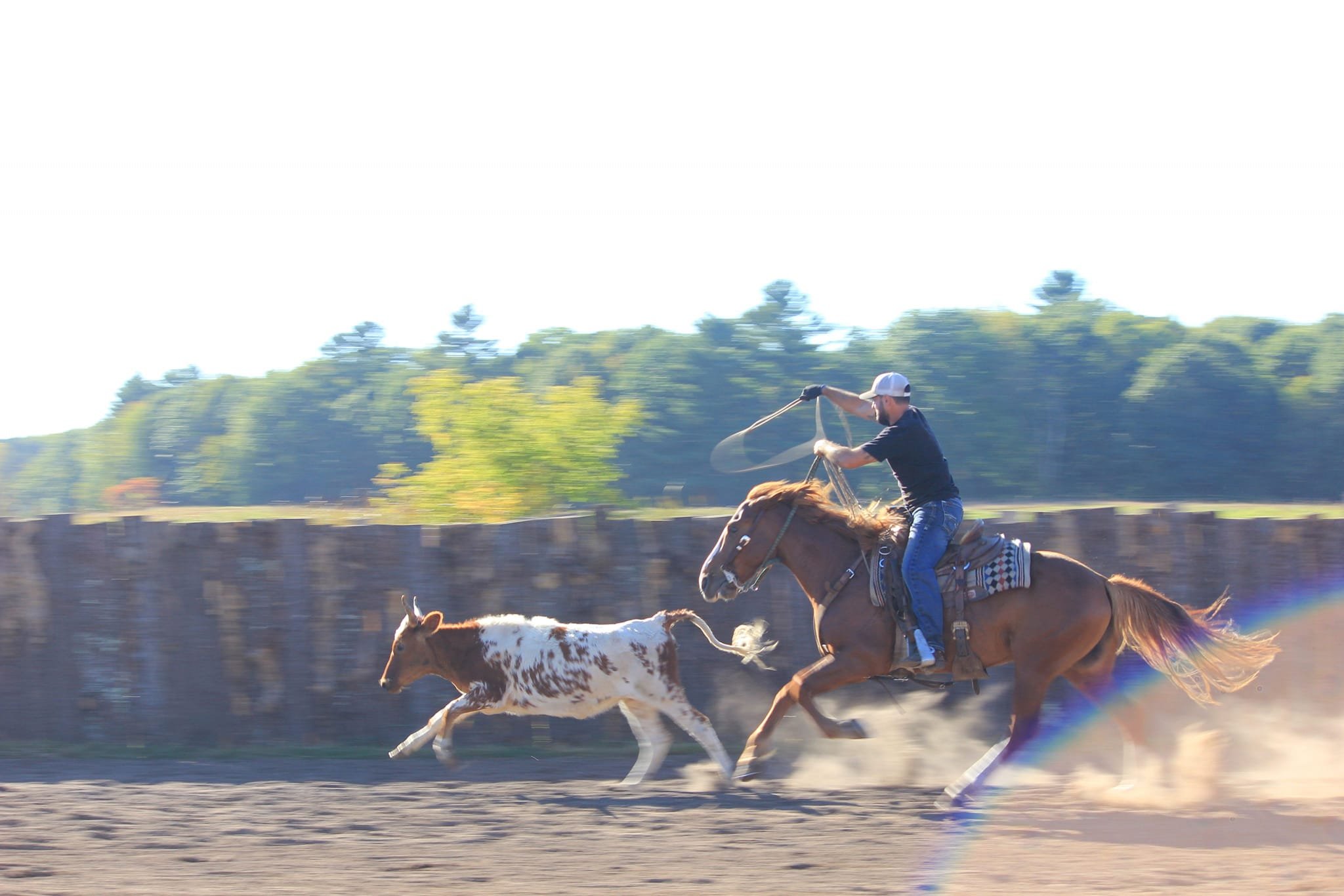 A man riding a bucking horse, holding a lasso in the air, with a dog running behind him during the daytime at an outdoor rodeo event.