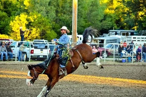 A cowboy riding a bucking horse in a rodeo arena.