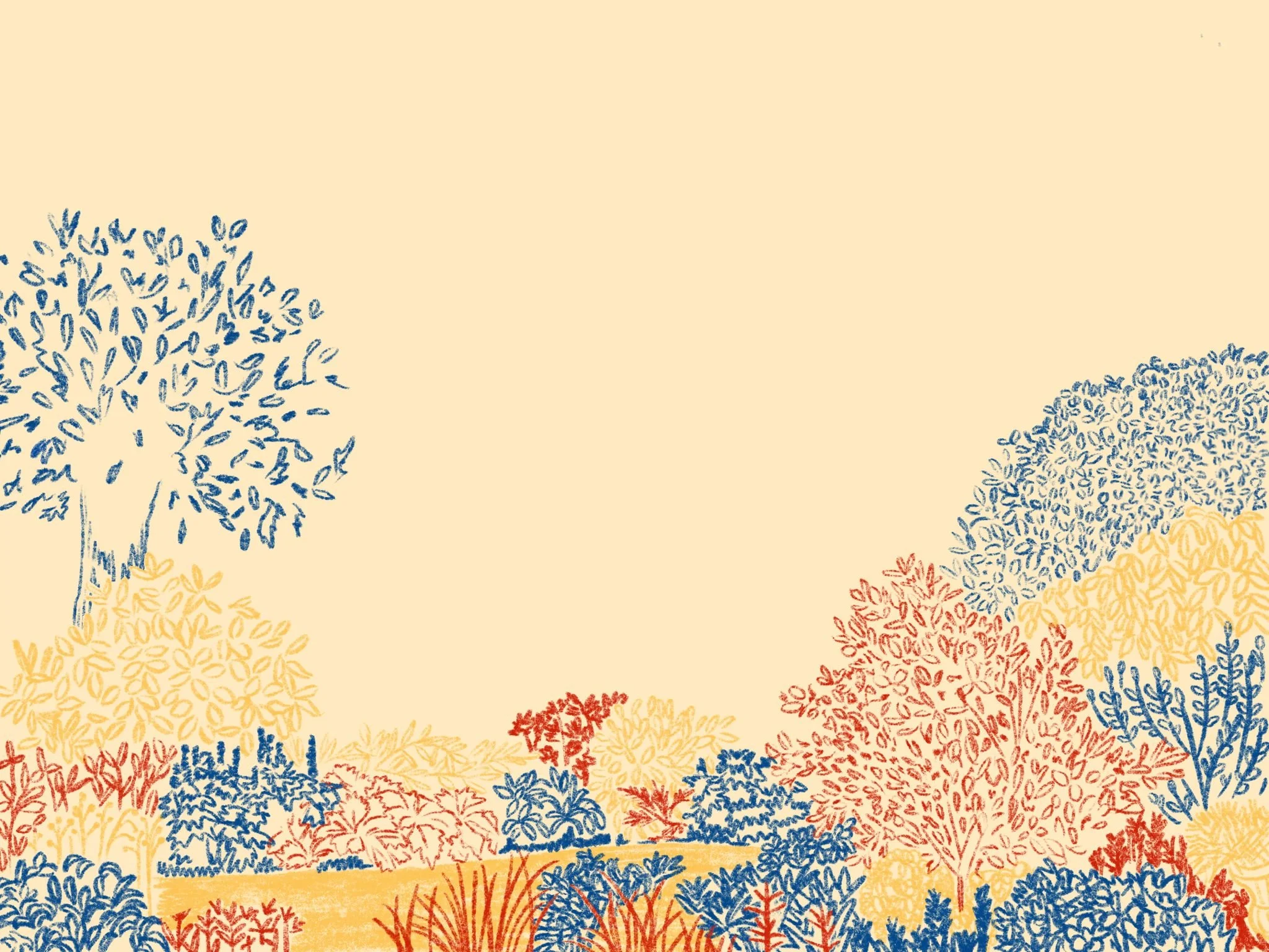 Illustration - Garden.jpeg