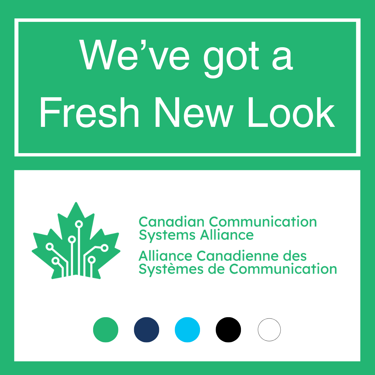 New brand &amp; website