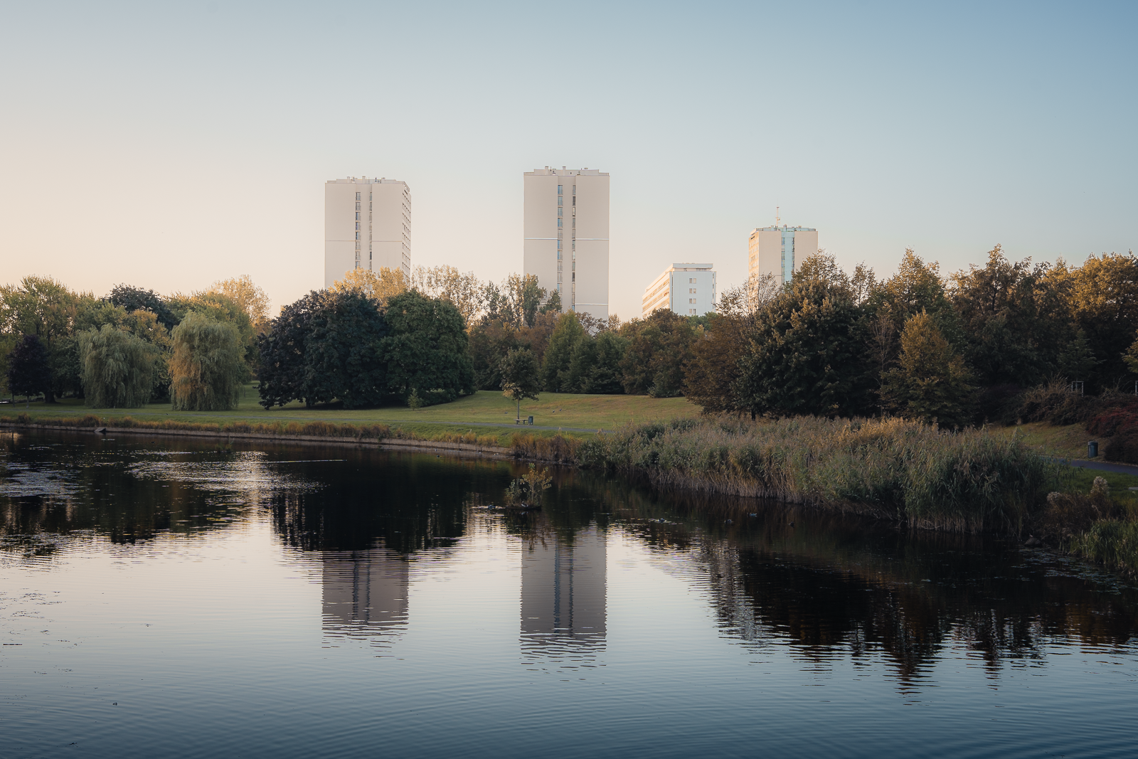A peaceful park with a pond in the foreground, surrounded by trees with autumn foliage, and high-rise buildings in the distance under a clear sky.