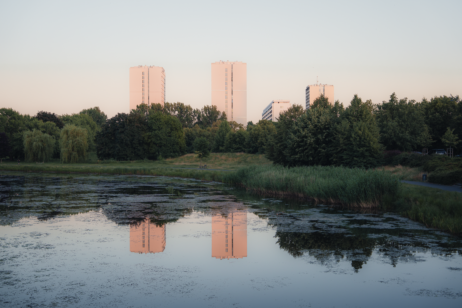 A serene city park with a small pond surrounded by green trees and bushes, with tall white residential buildings in the background, reflected in the water during a calm evening.