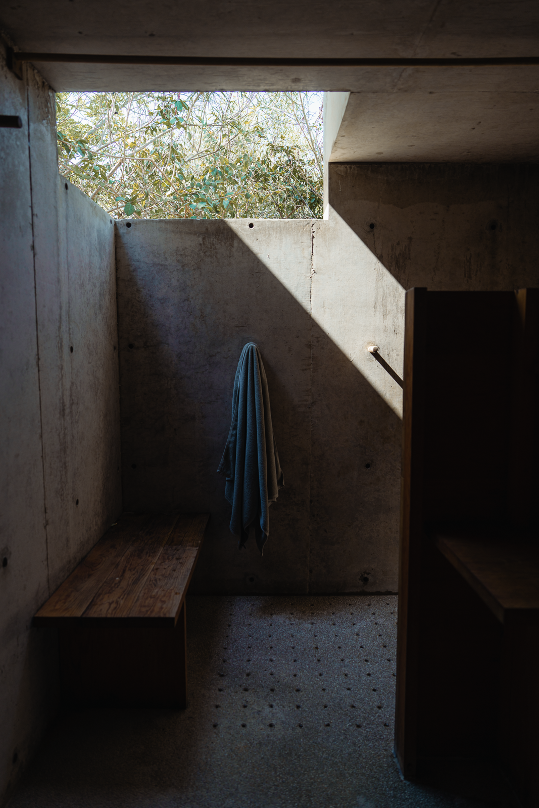 A minimalist shower room with a concrete wall, a wooden bench, a towel hanging on the wall, and a window letting in natural light with trees outside.