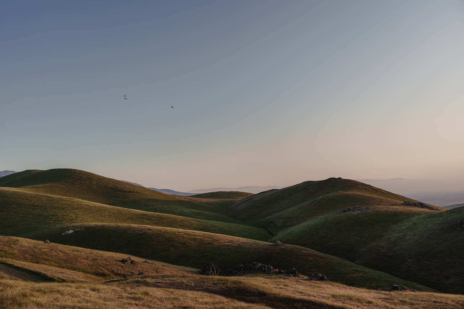 Hilly landscape with green grassy rolling hills and a clear sky, with two birds flying in the distance.