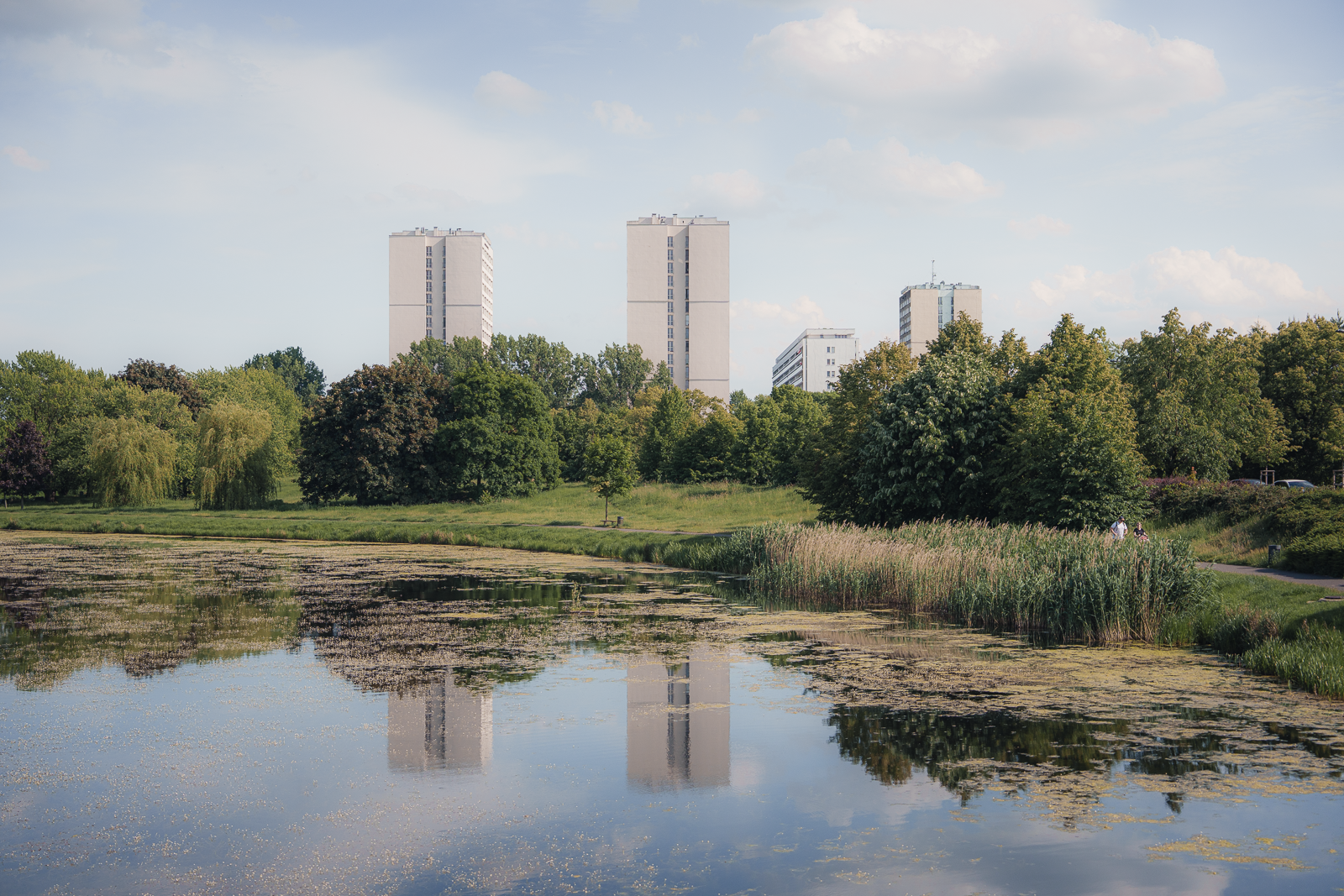 A park with a pond reflecting trees and tall apartment buildings in the background under a partly cloudy sky.