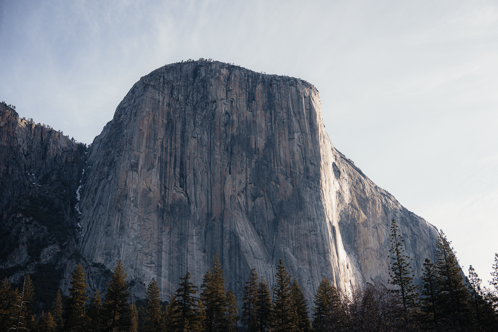 Large granite rock formation in a forested area with pine trees, under a light cloudy sky.
